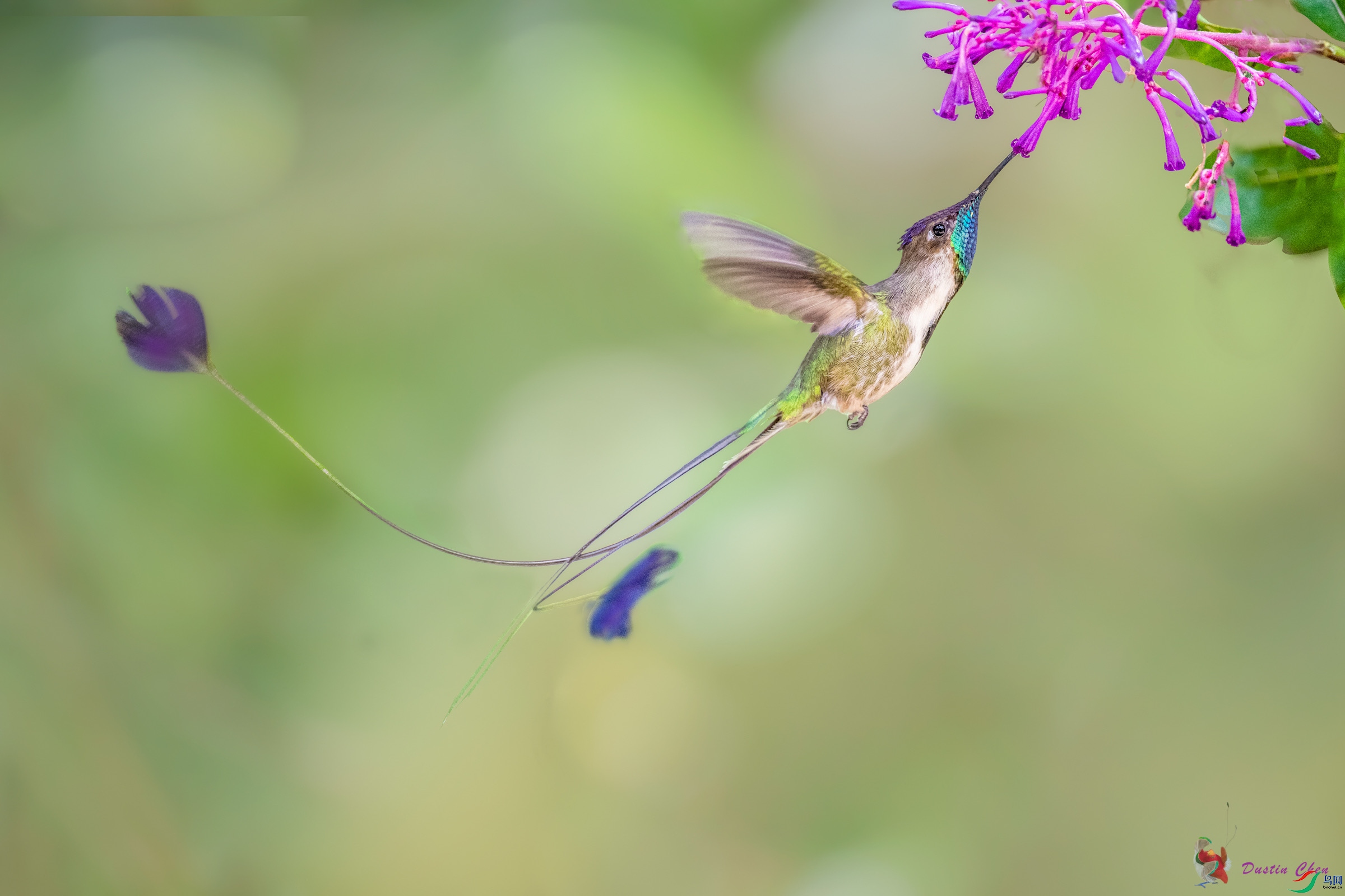 ����β���� ��³�����ֱ�Σ