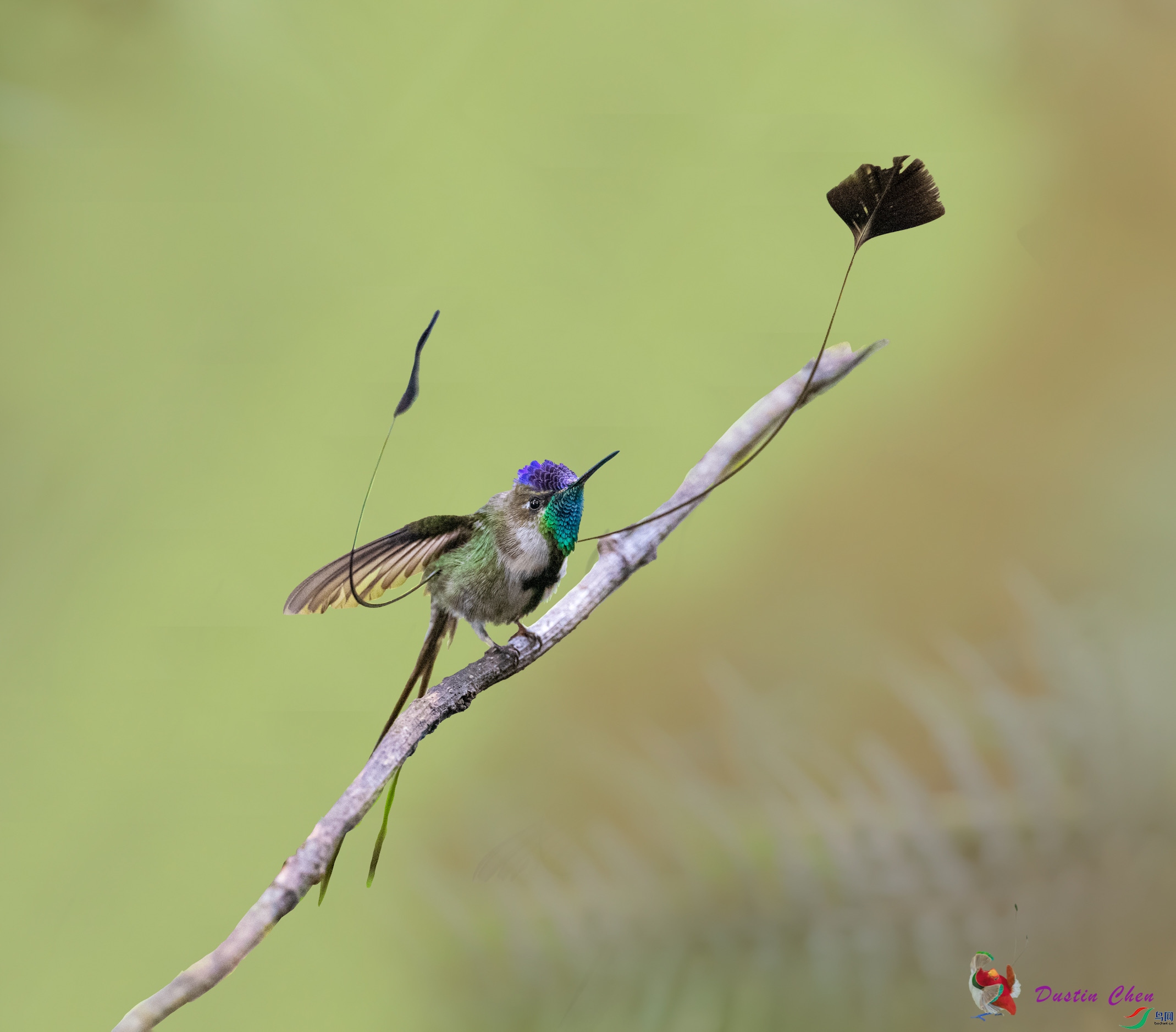 ����β���� ��³�����ֱ�Σ