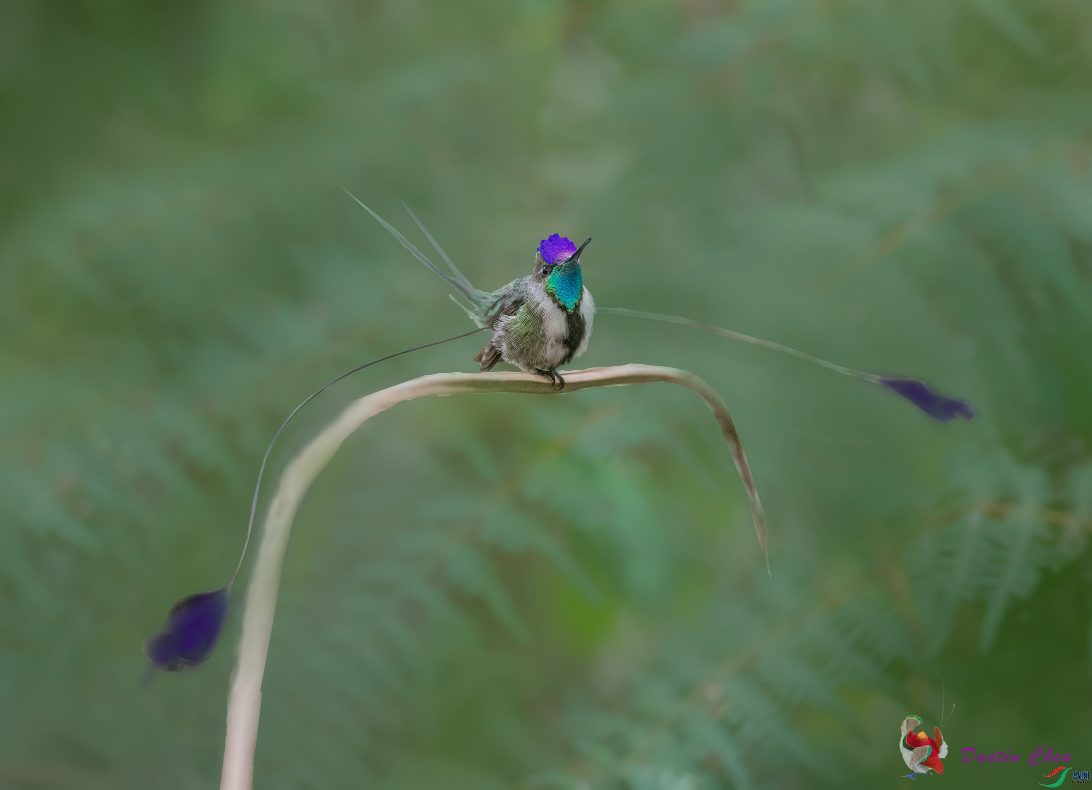 ����β���� ��³�����ֱ�Σ