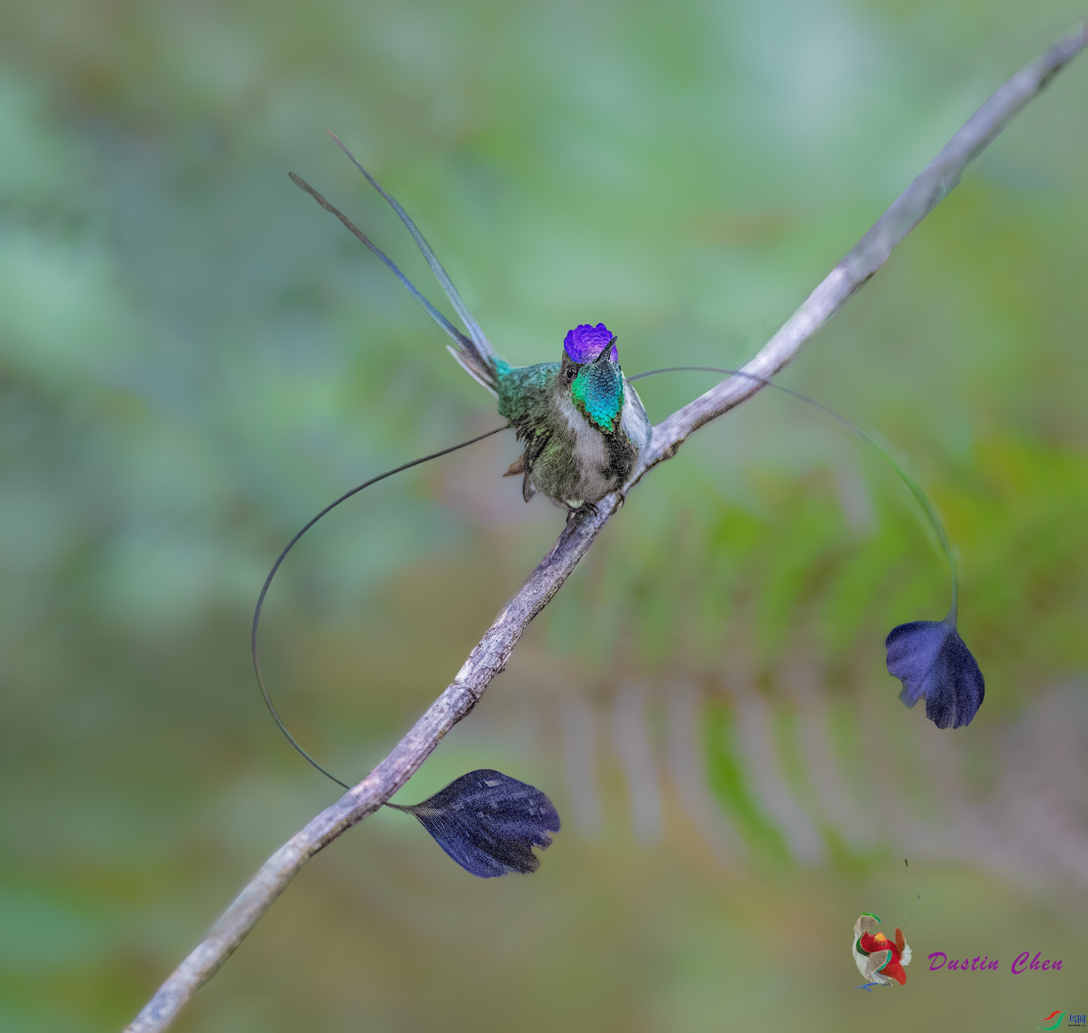 ����β���� ��³�����ֱ�Σ