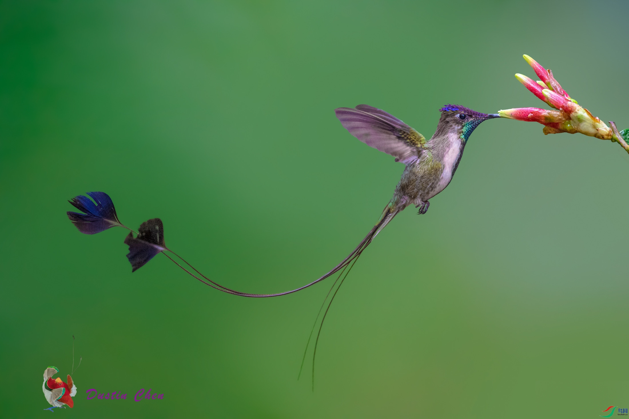 ����β���� ��³�����ֱ�Σ