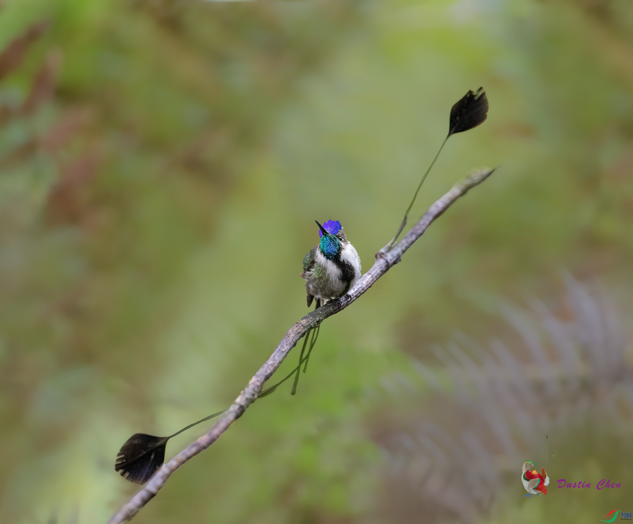 ����β���� ��³�����ֱ�Σ