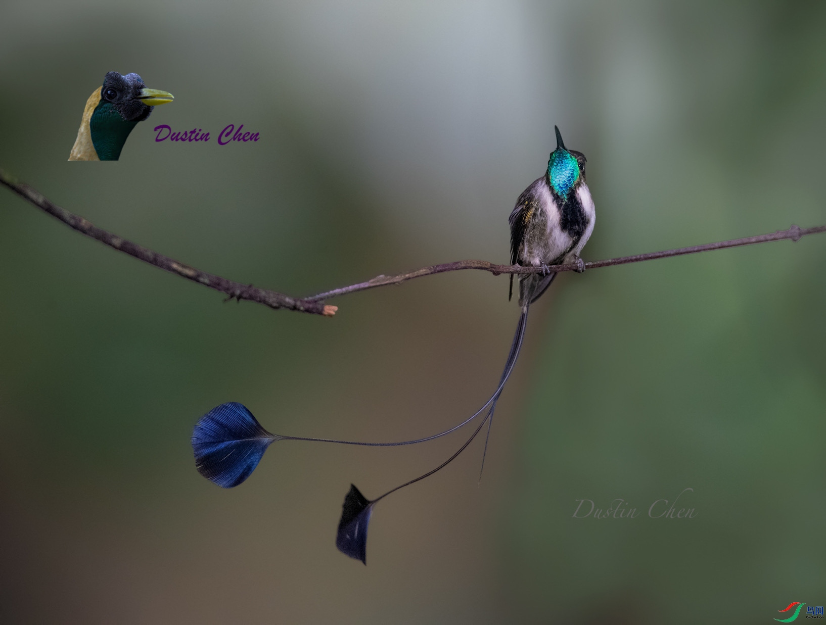 ����β���� ��³�����ֱ�Σ