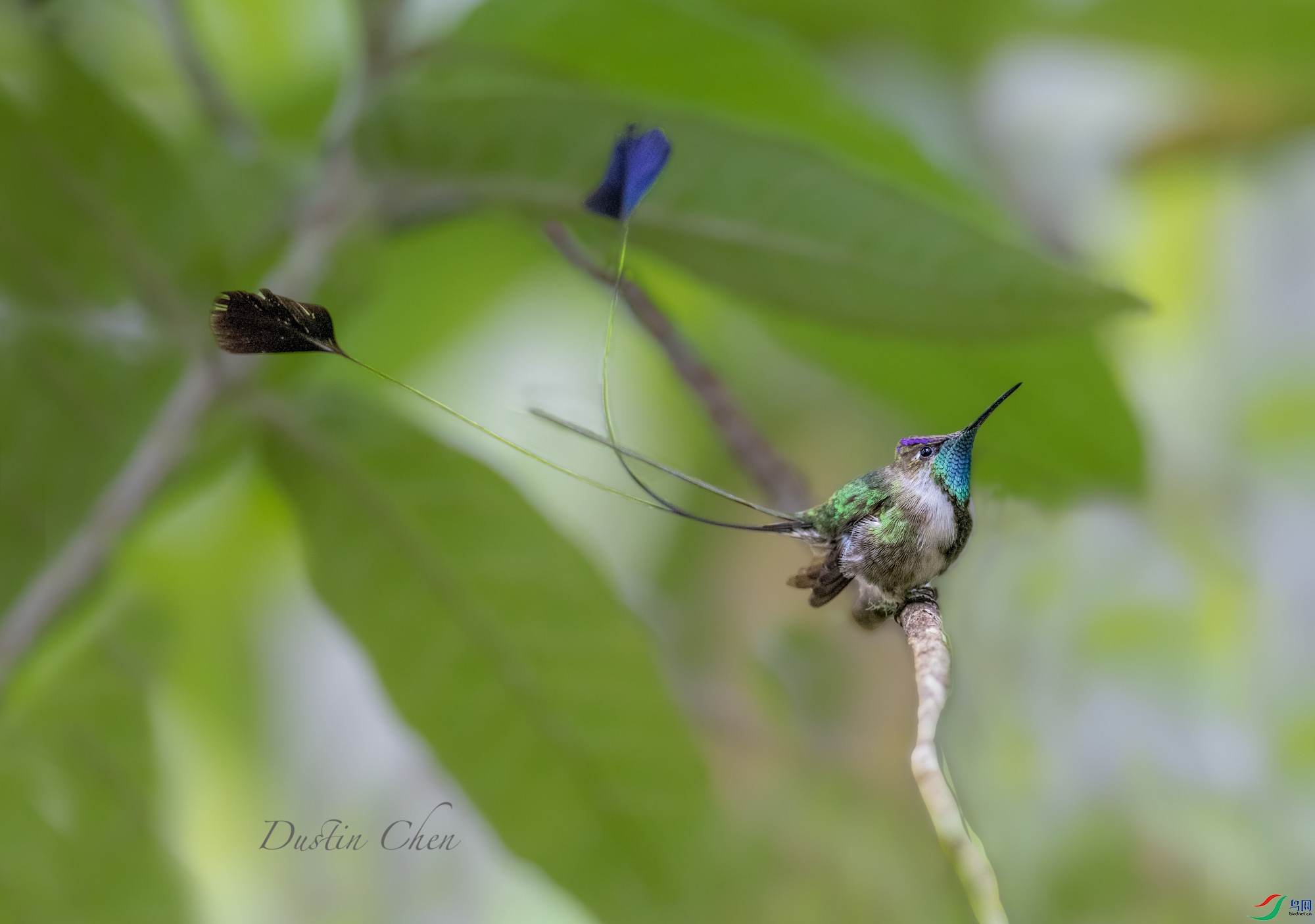 ����β���� ��³�����ֱ�Σ