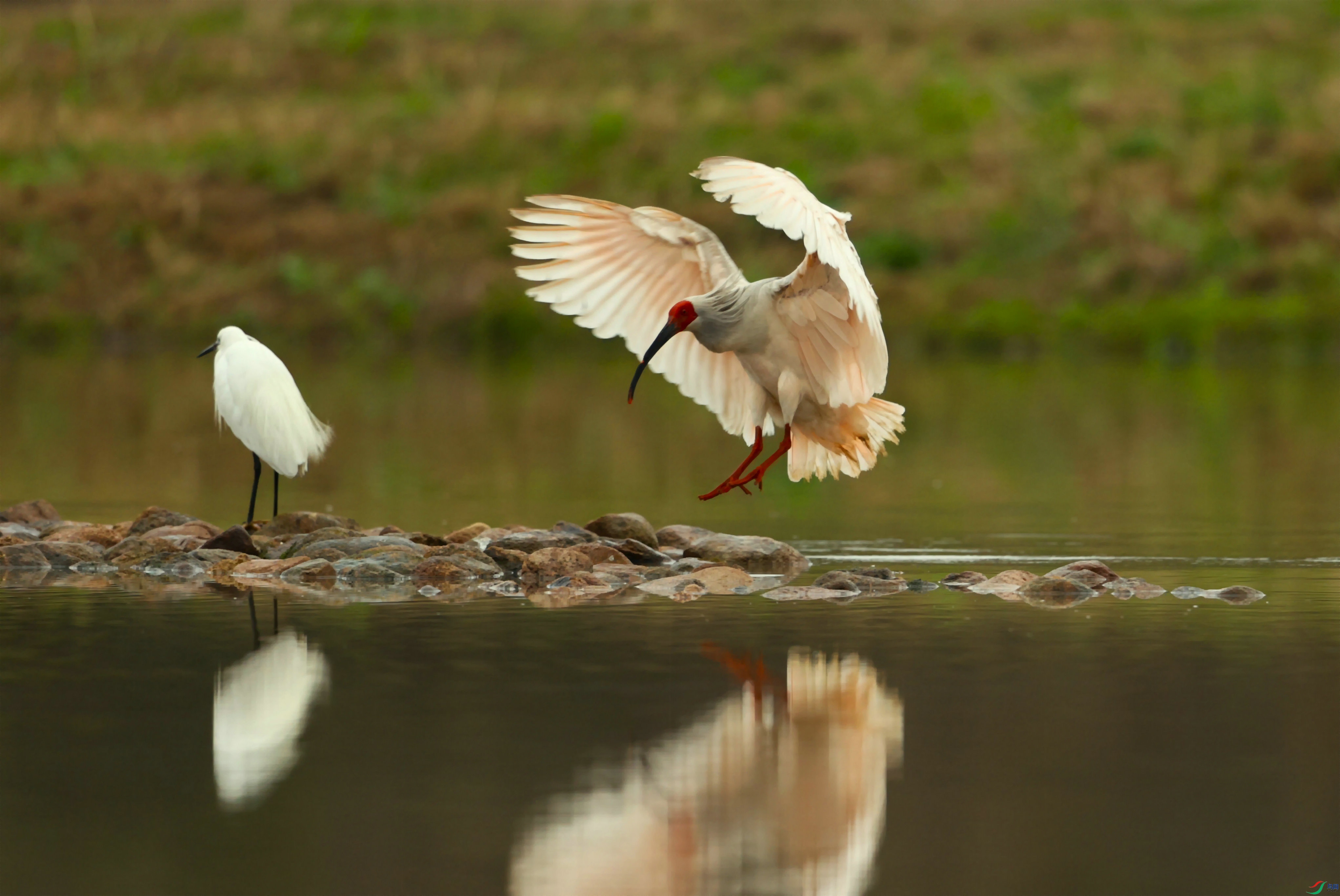 ���q 2023-03-25 ��կ 2I8108_����.JPG