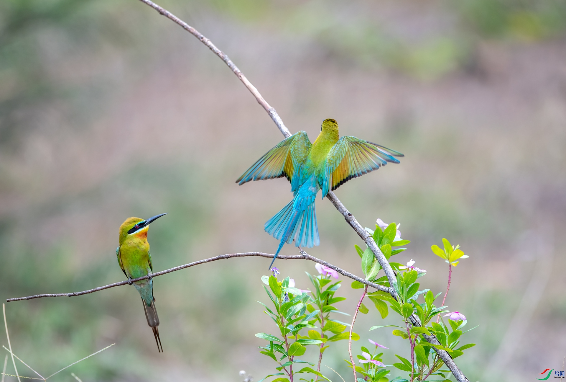 DSC_6706.jpg