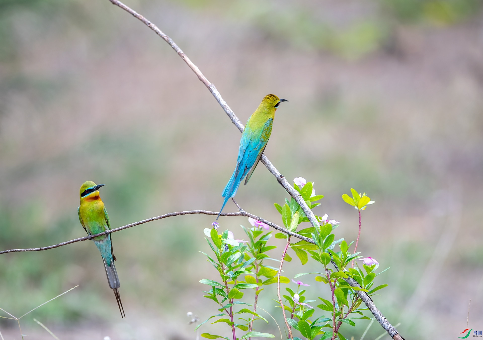 DSC_6708.jpg