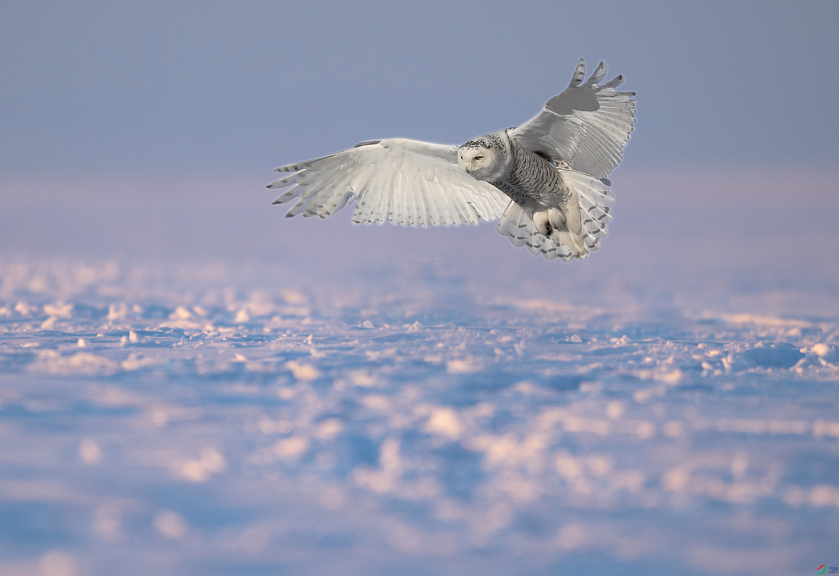 WechatIMG338 ����jpg ����.jpg