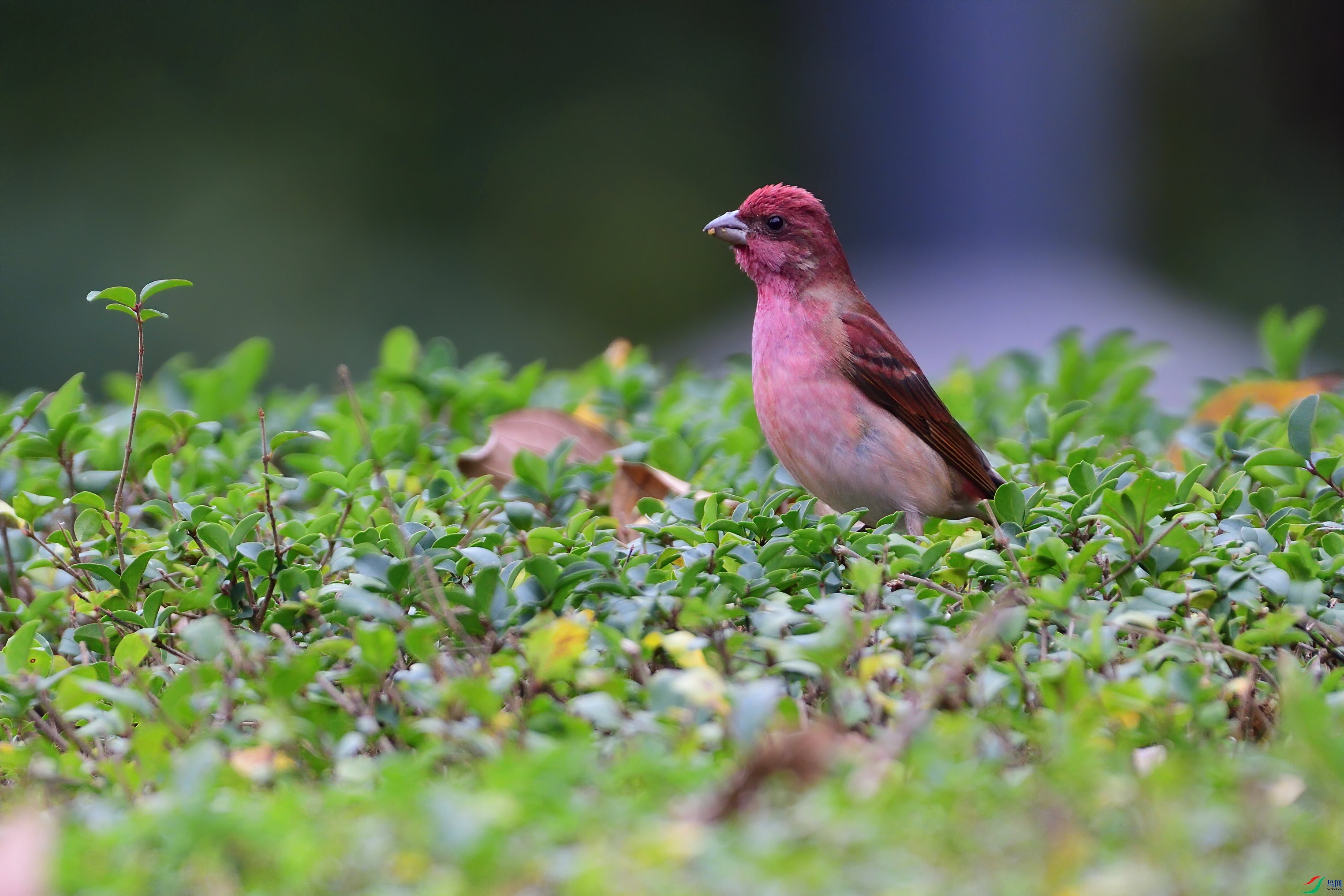 DSC_8642�ͺ�С������ͨ��ȸ.jpg