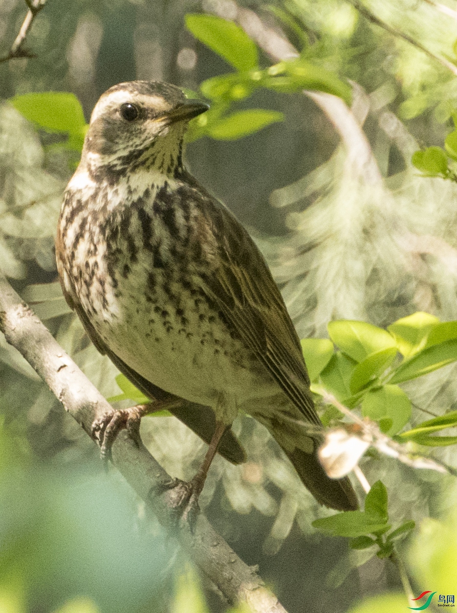 ������̳ (16).jpg