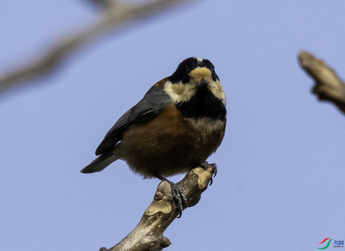 _DSC5332 ���� 2.jpg