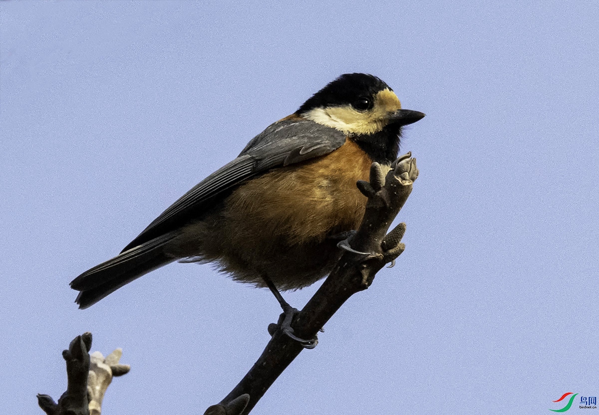 _DSC5353 ���� 2.jpg