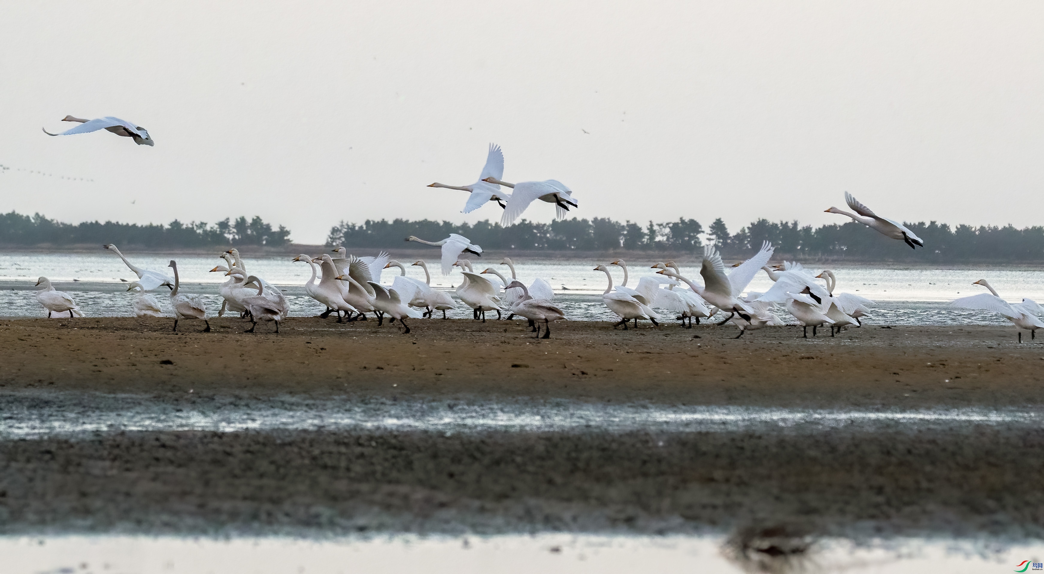 IMG_2390.jpg