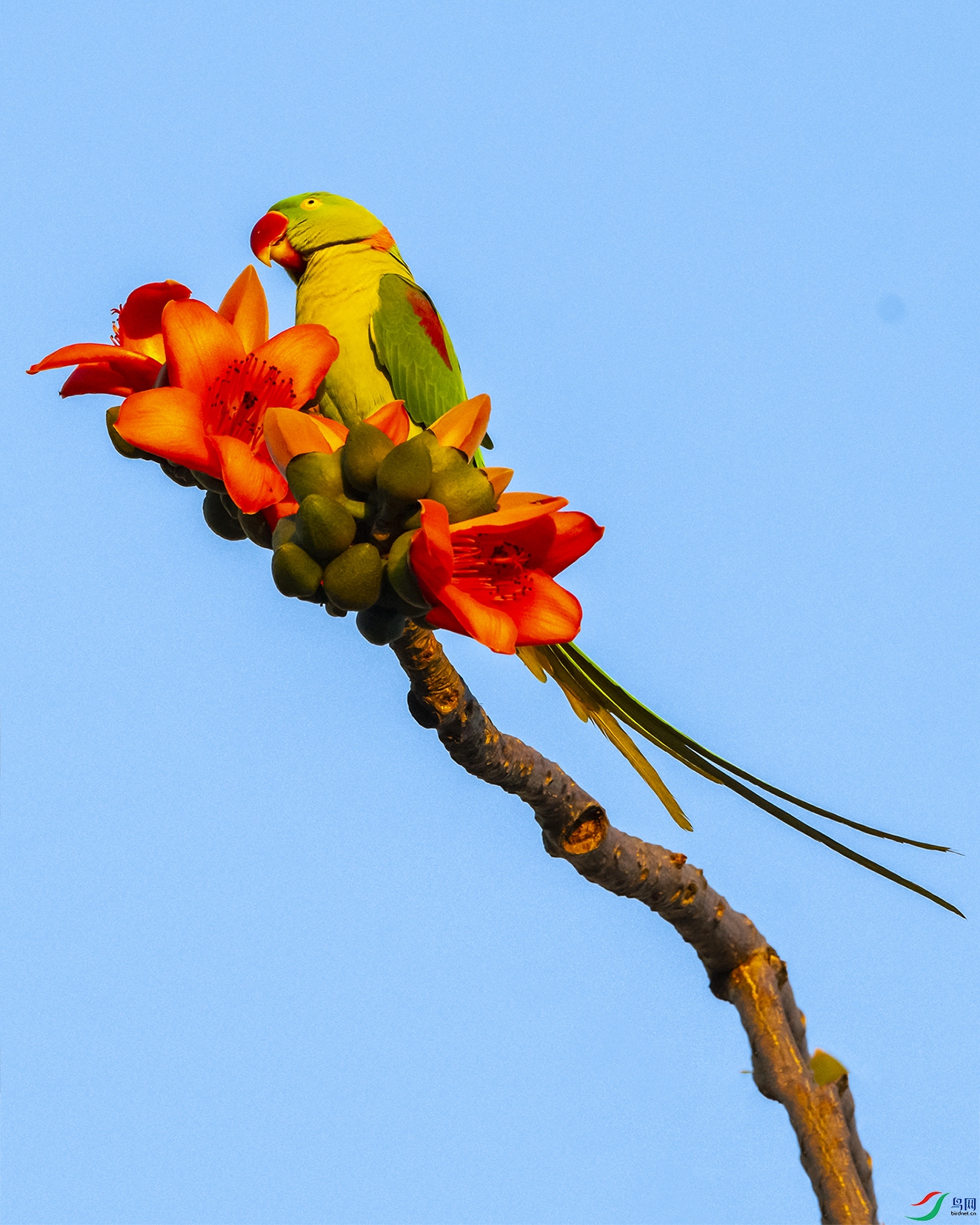 7588 ����.jpg