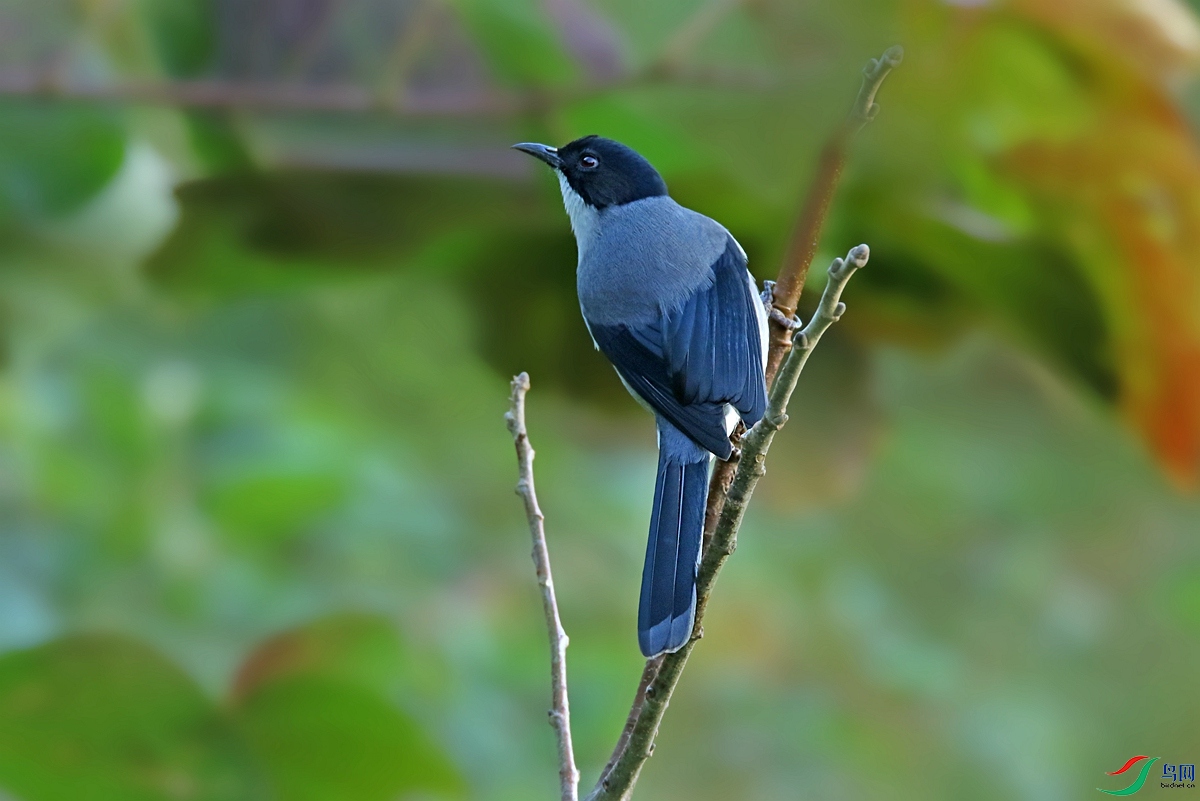 363A6654_����.jpg