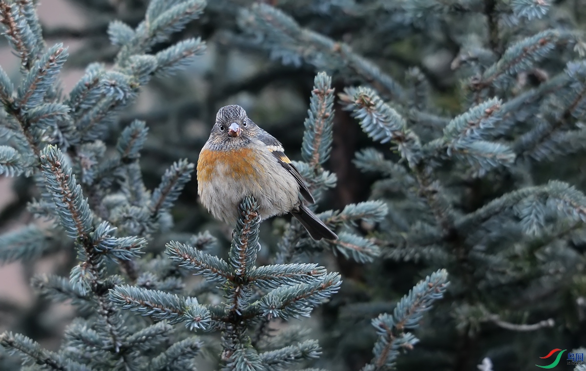 DSC_38761.jpg