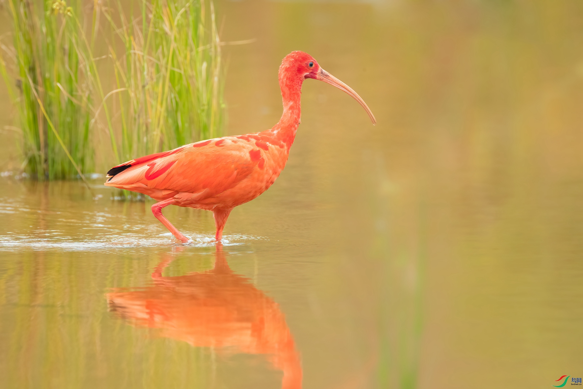 B86I0716 _����.jpg