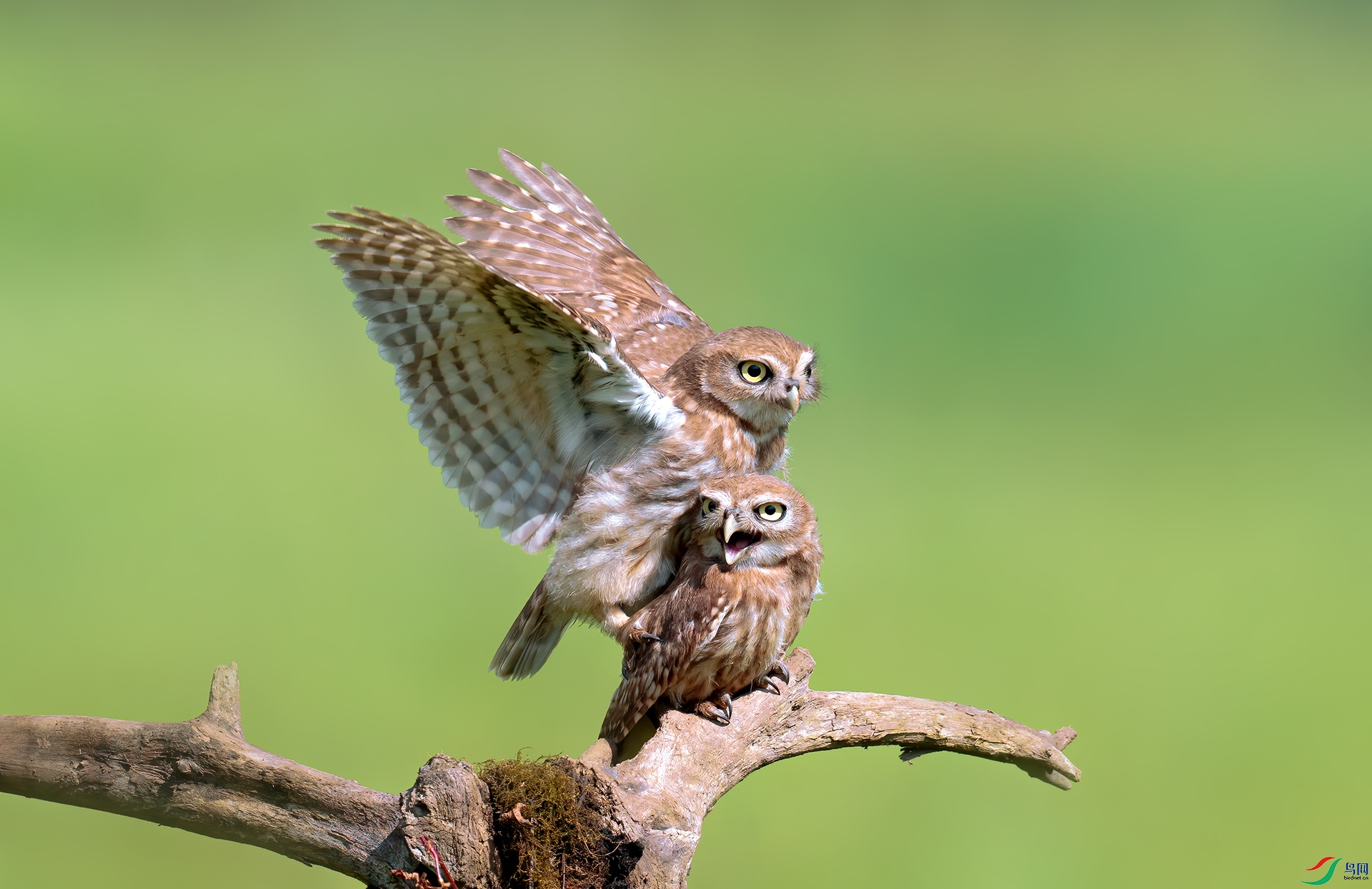 DSC_2312.jpg