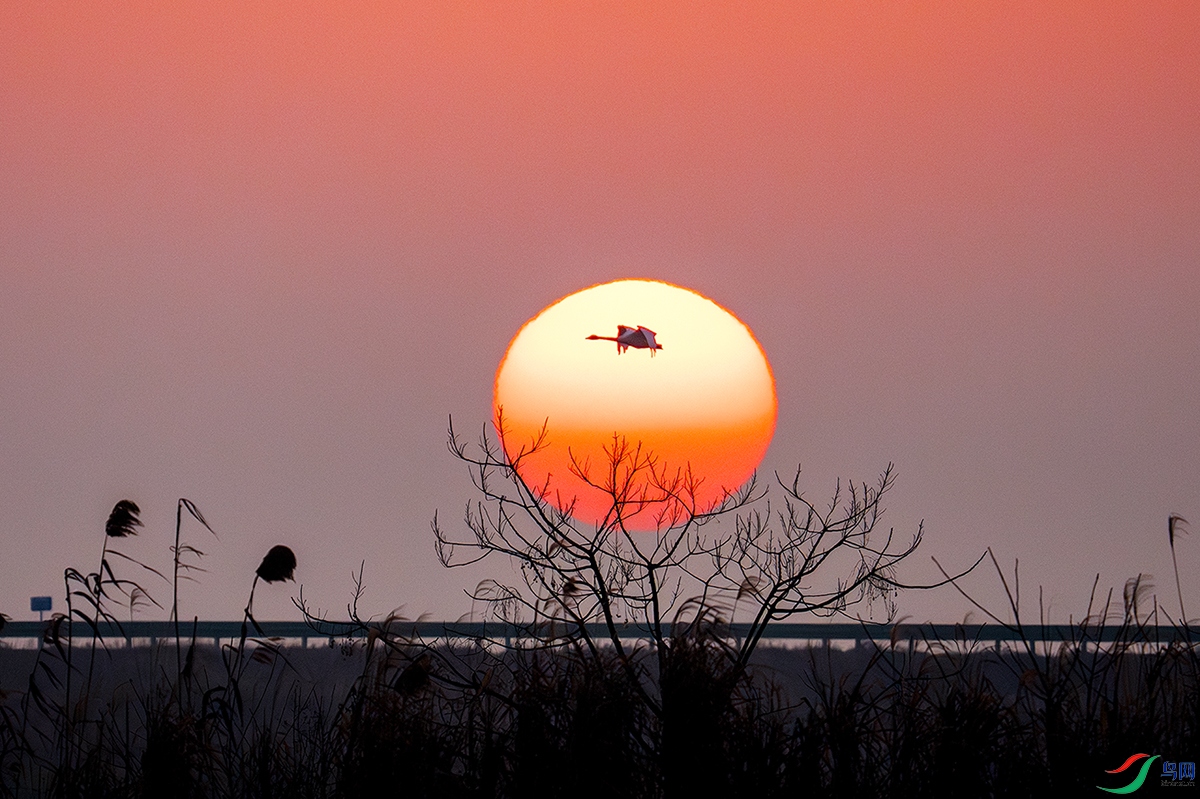 LZW07984-����ǿ-NR ����.jpg