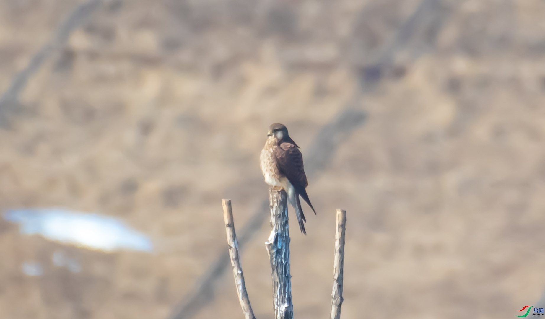 DSC_1522.jpg