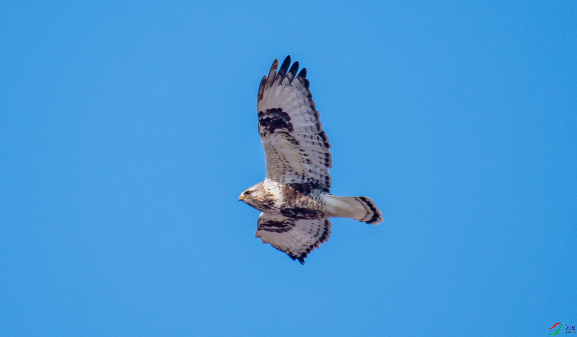 DSC_2114.jpg