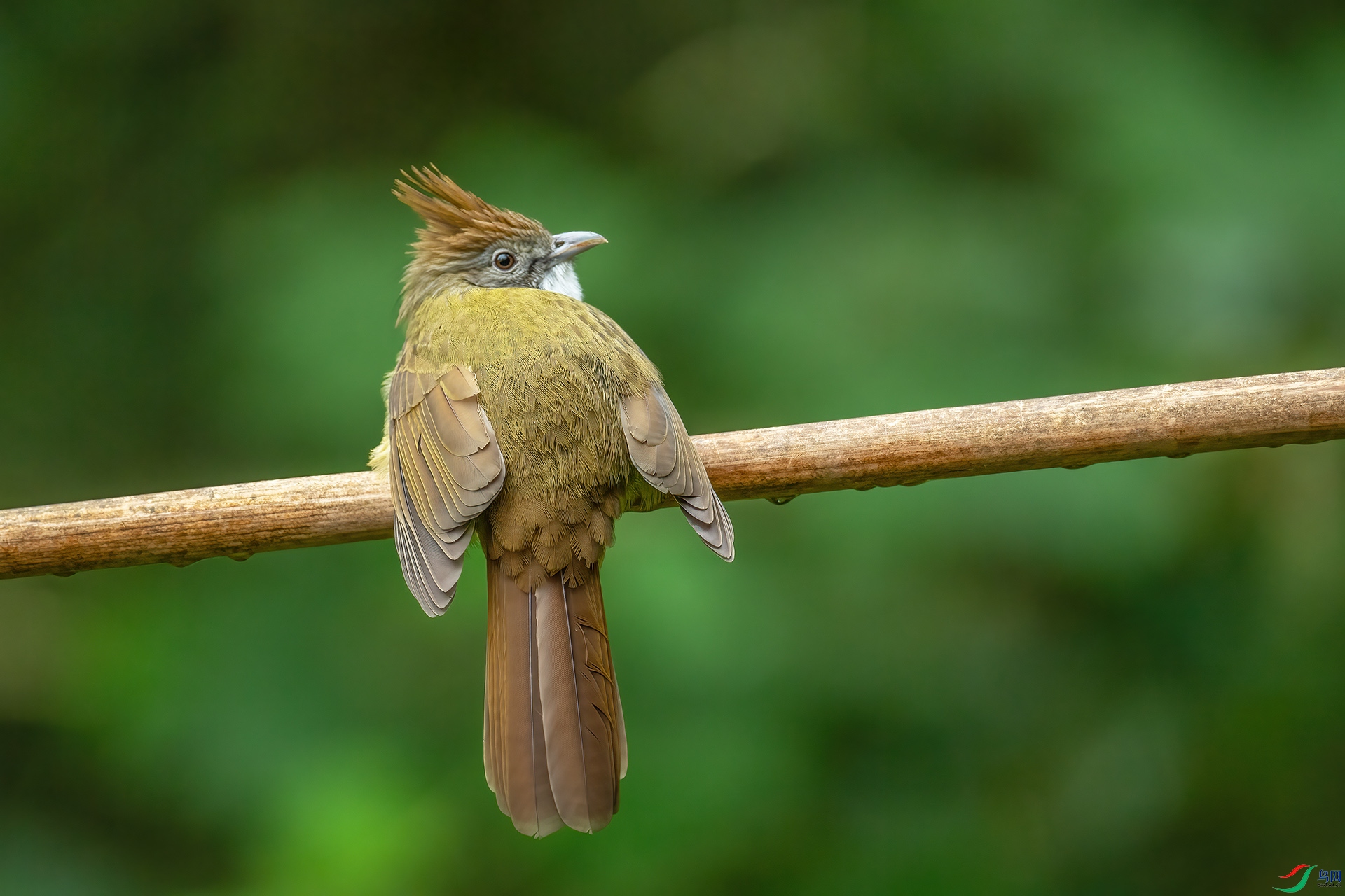 DSC_3085.jpg