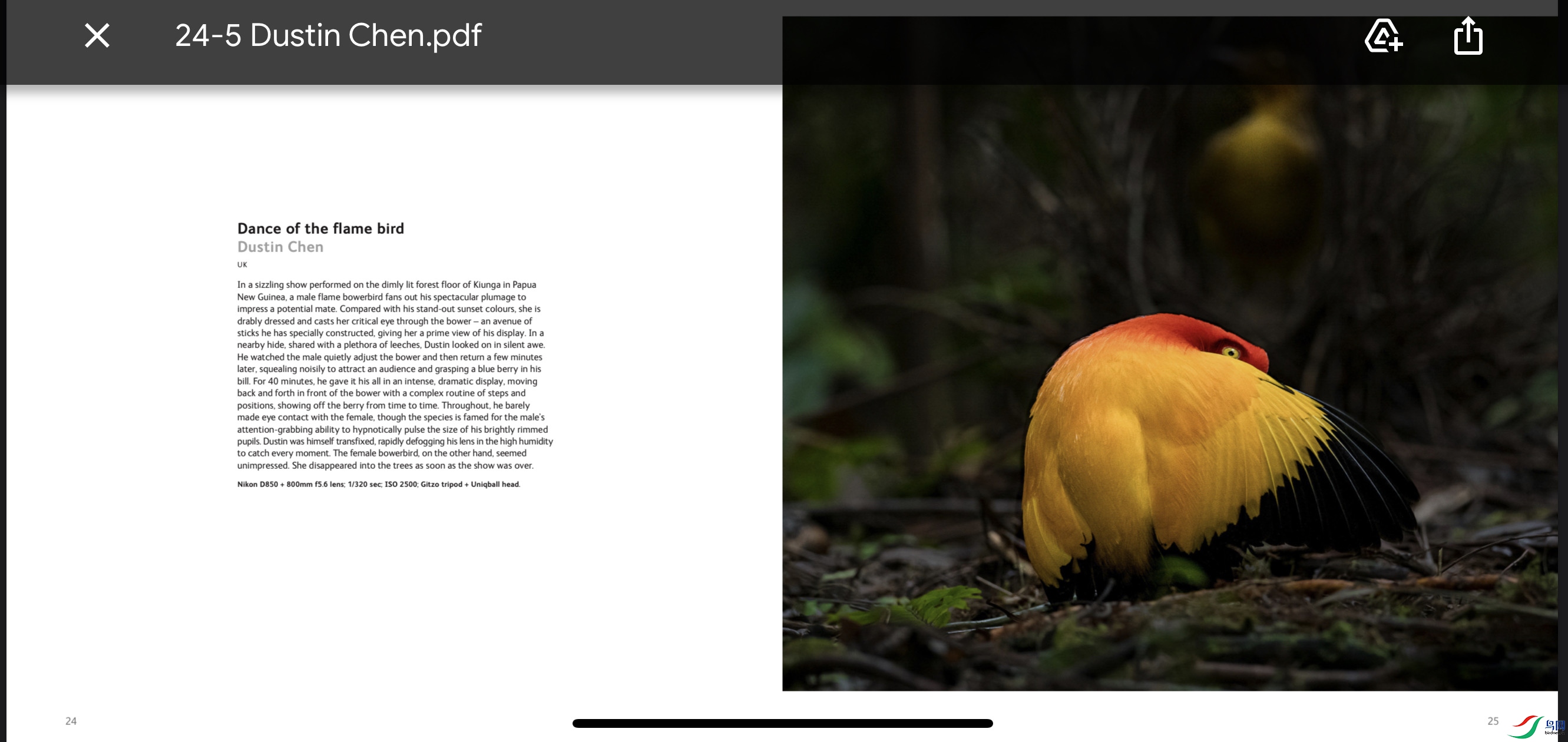 ����ͤ����ż��