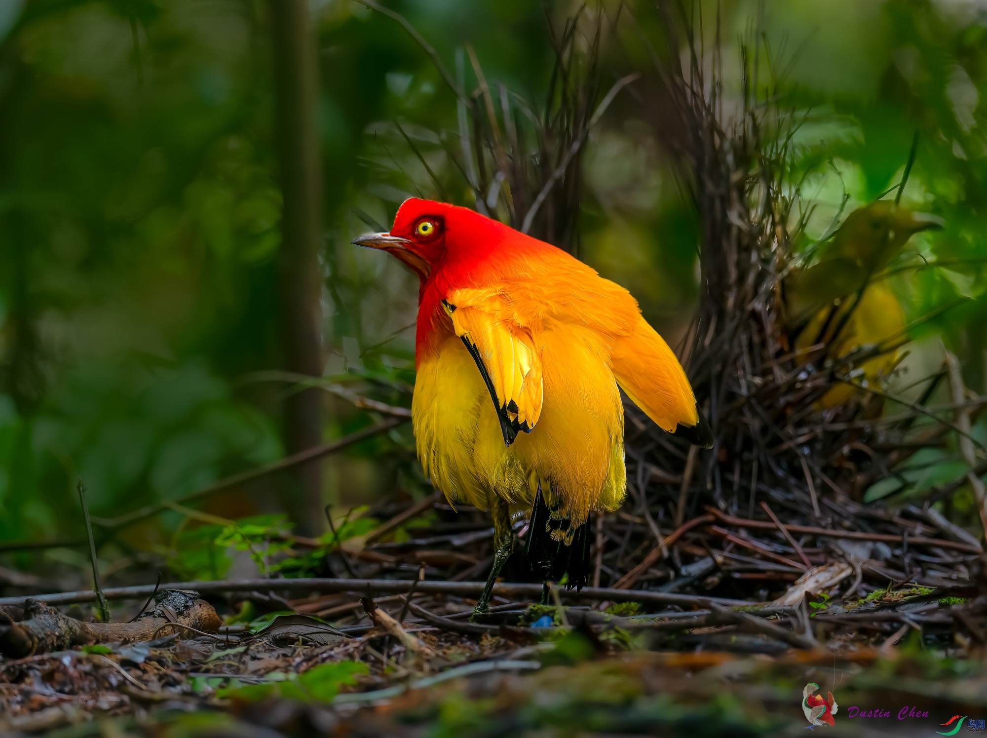 ����ͤ����ż��