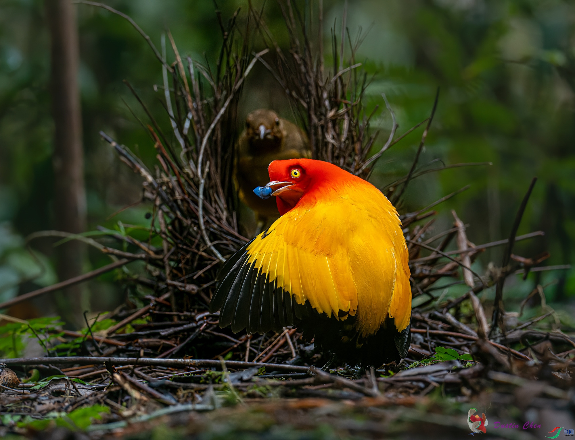 ����ͤ����ż��