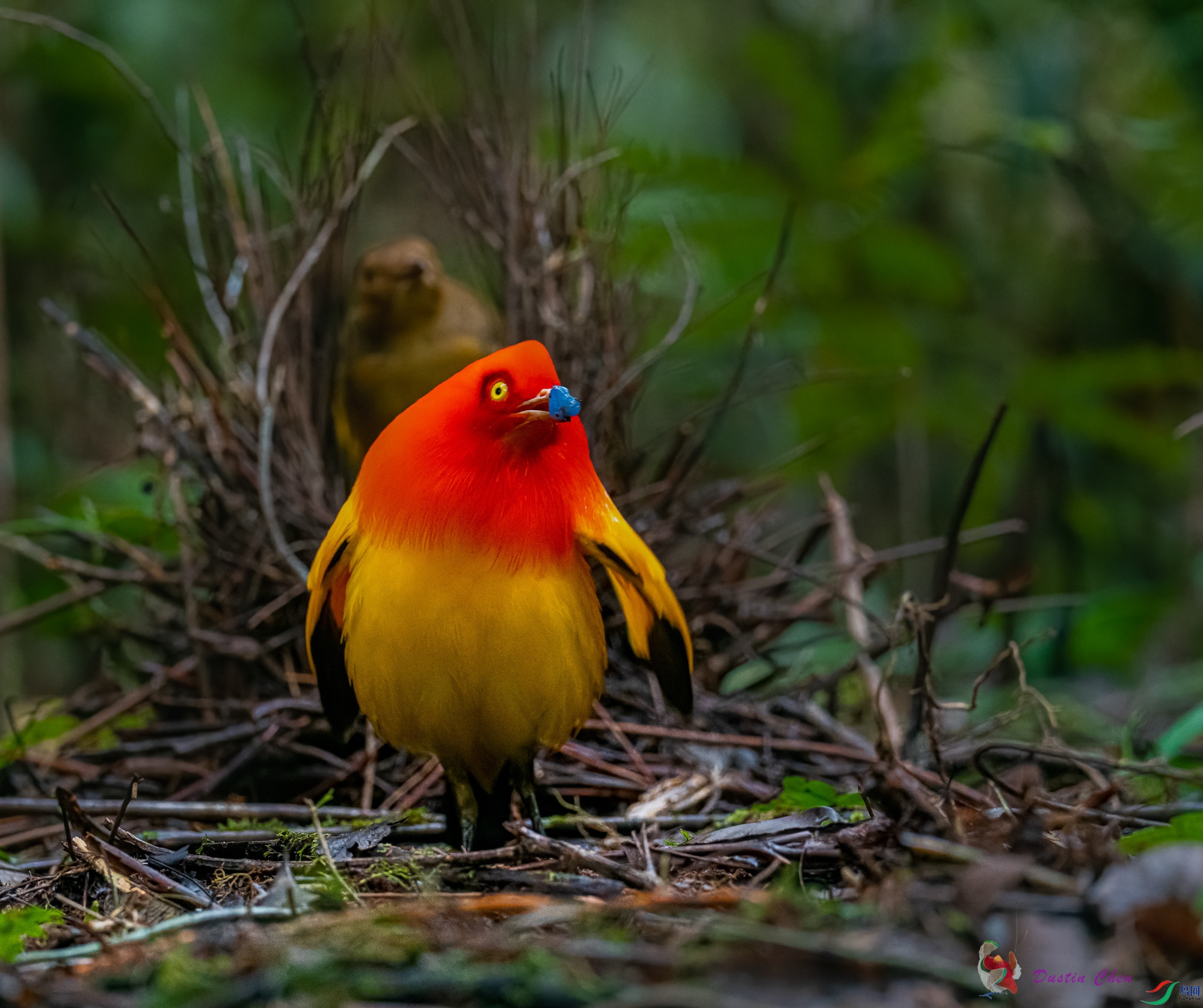 ����ͤ����ż��