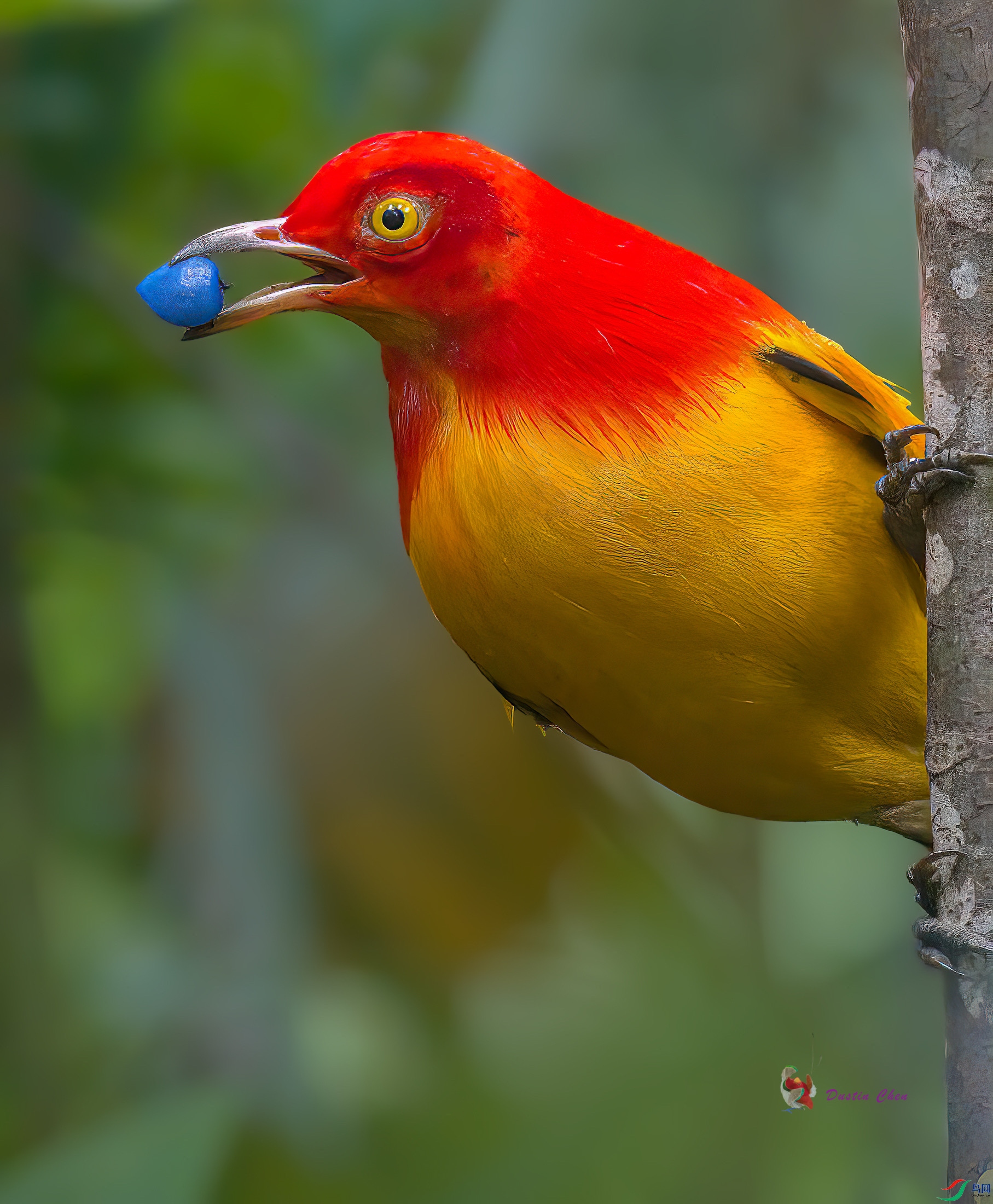 ����ͤ����ż��