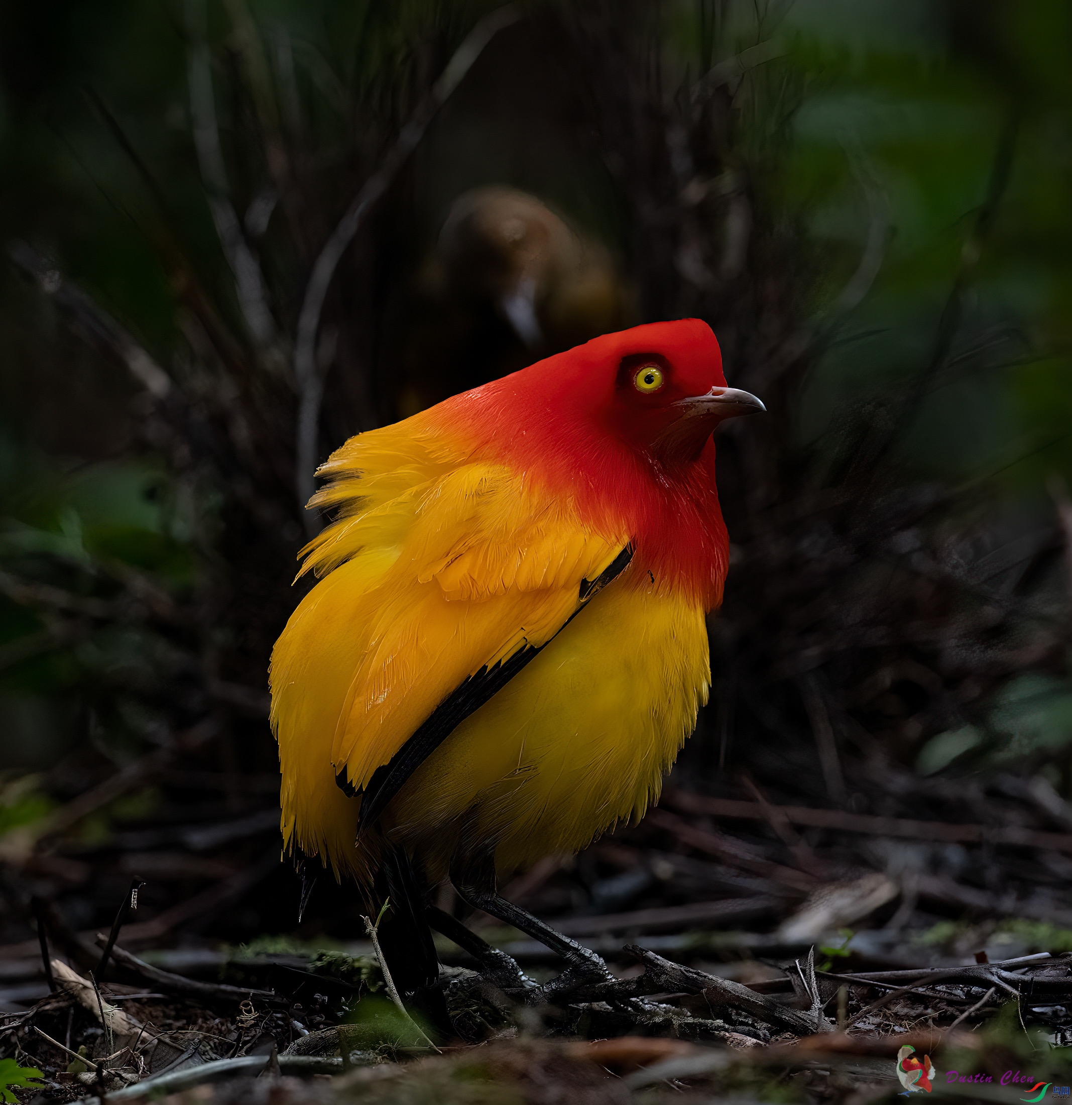 ����ͤ����ż��