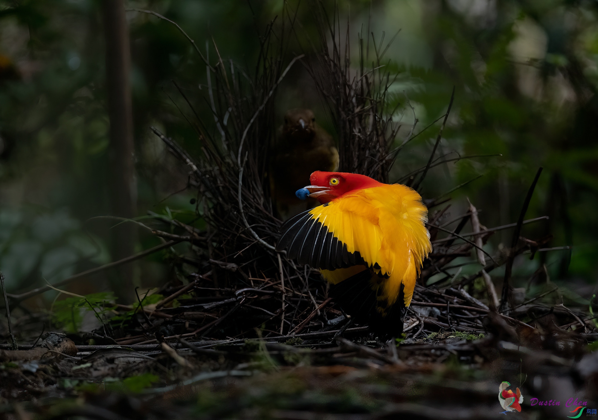 ����ͤ����ż��