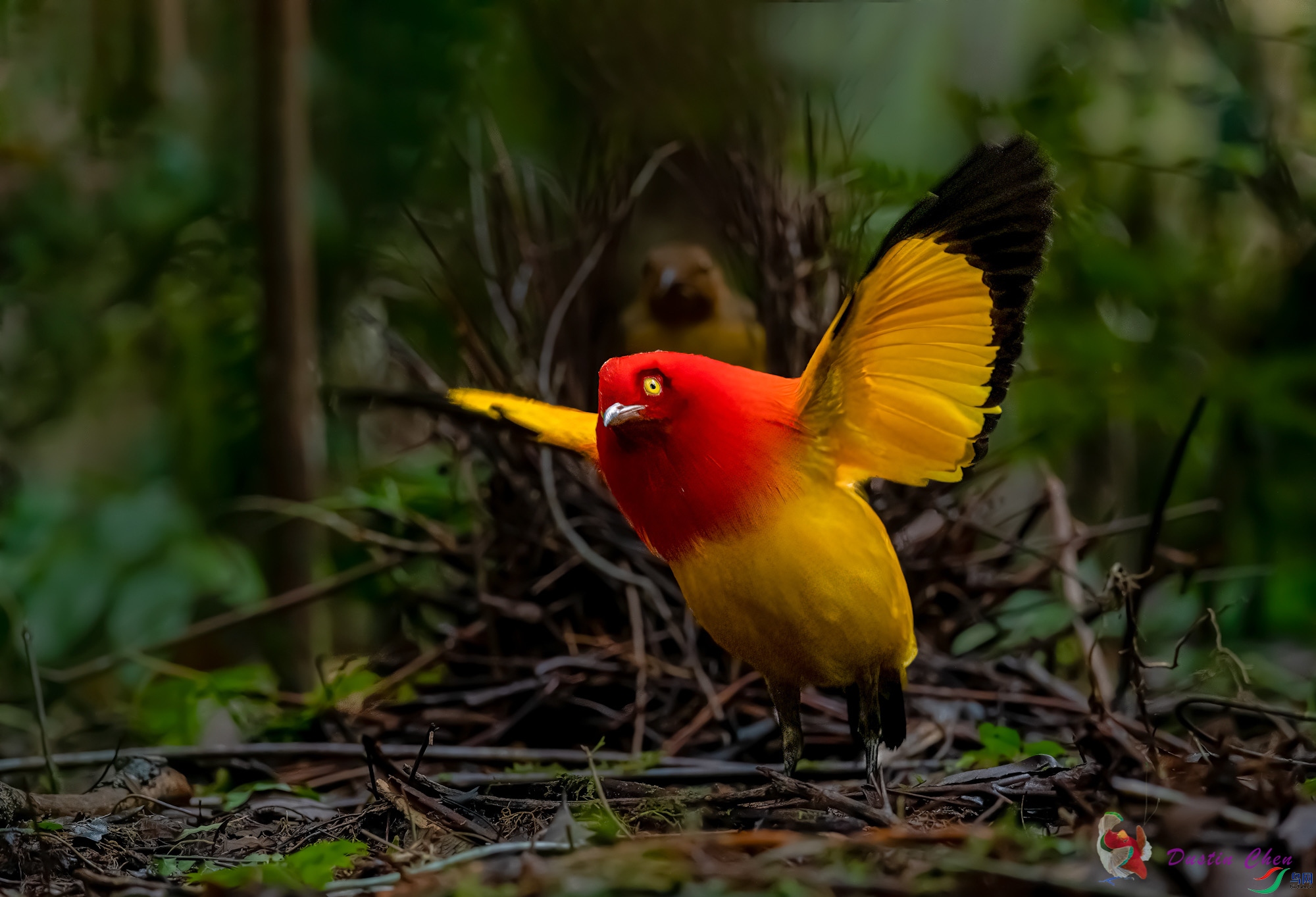 ����ͤ����ż��