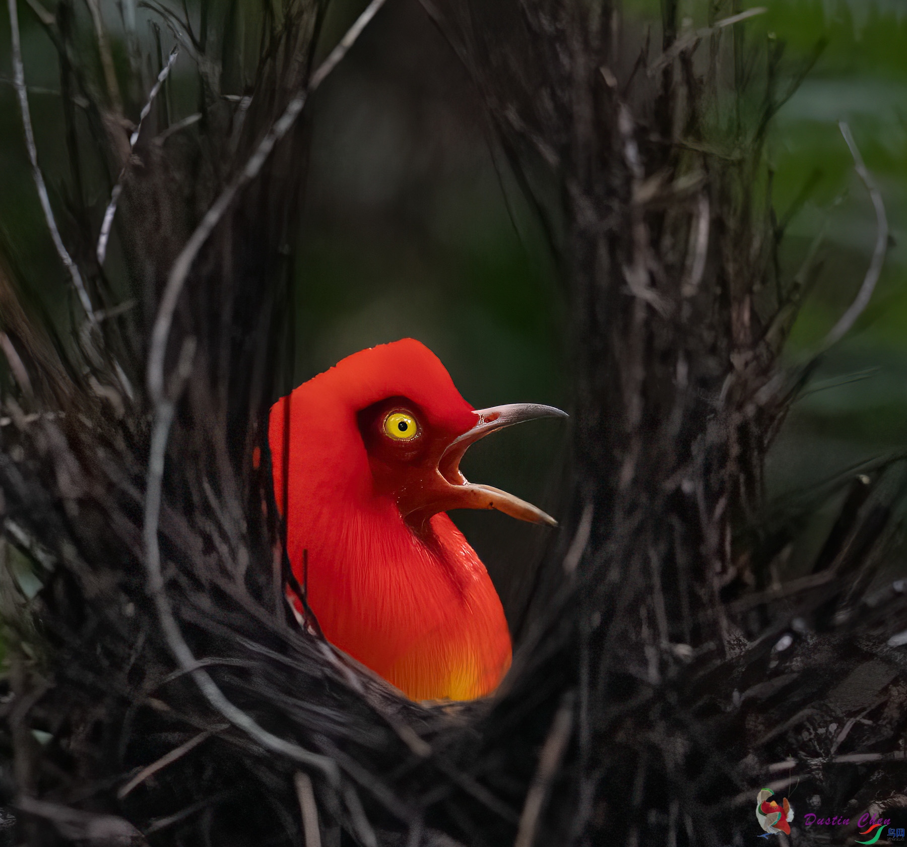 ����ͤ����ż��