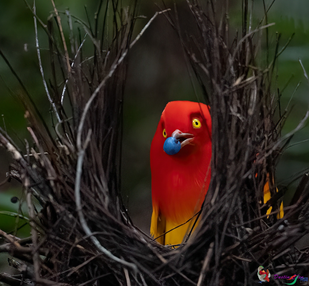 ����ͤ����ż��