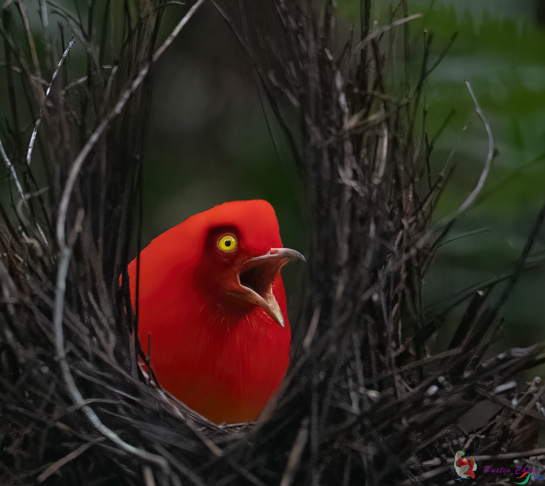 ����ͤ����ż��