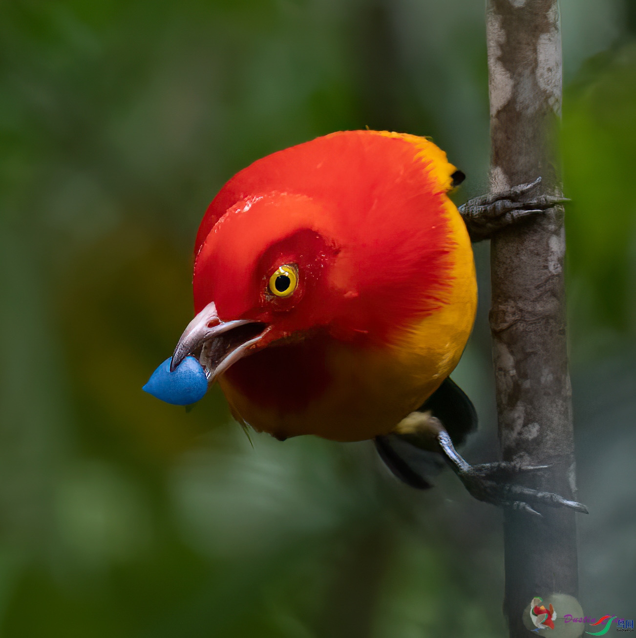 ����ͤ����ż��