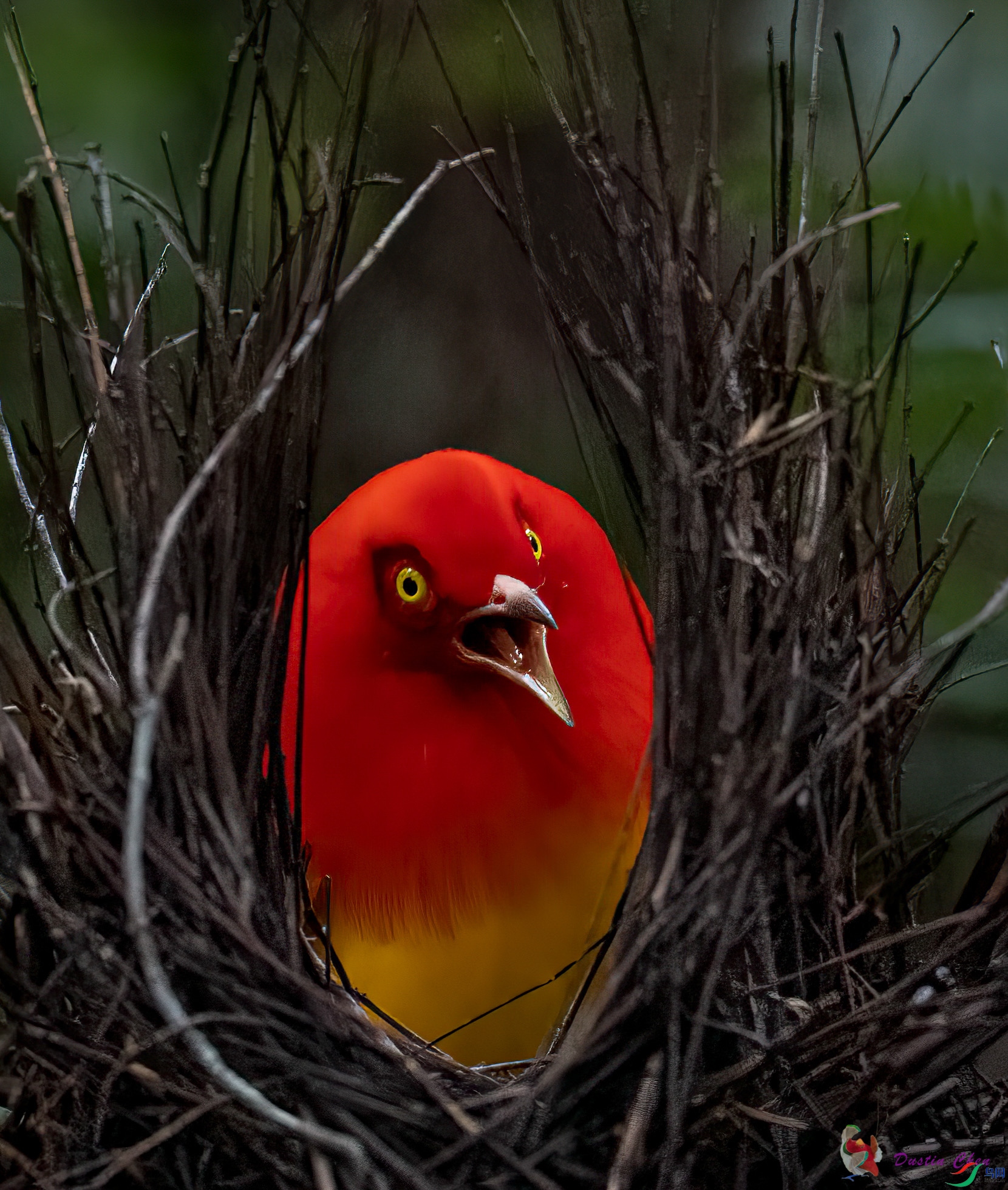 ����ͤ����ż��