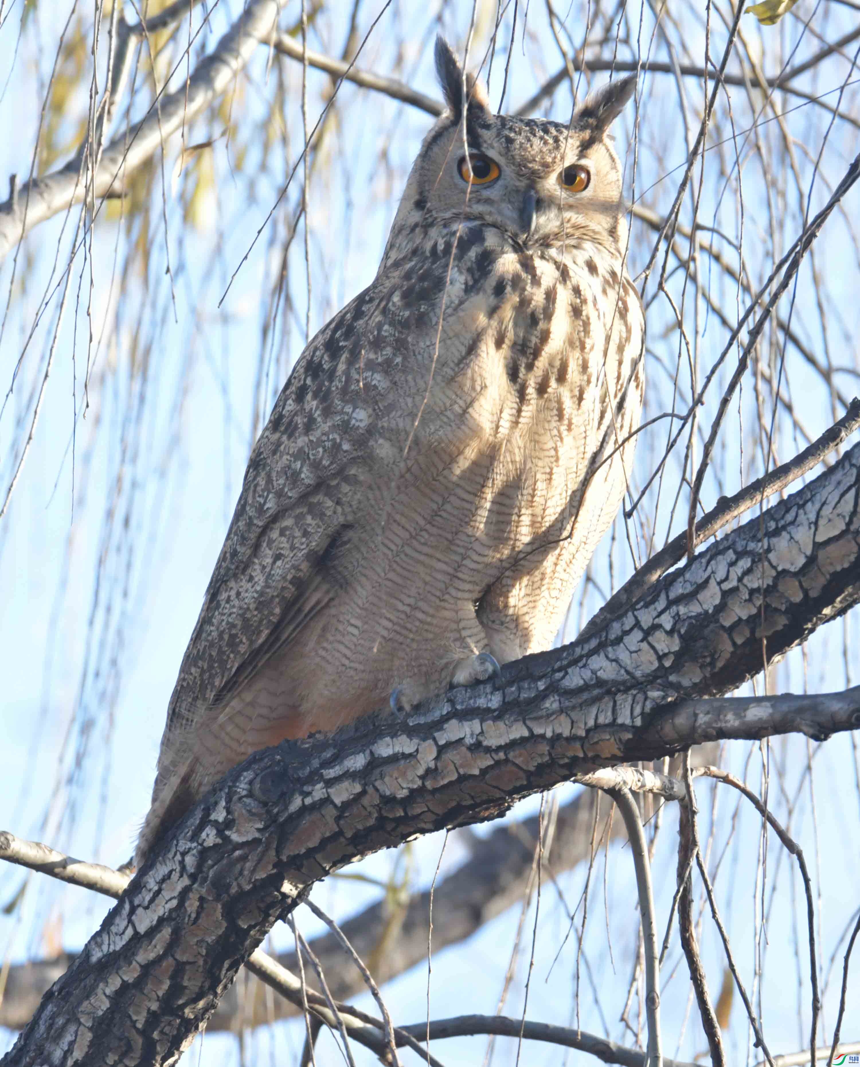 DSC_6812.JPG