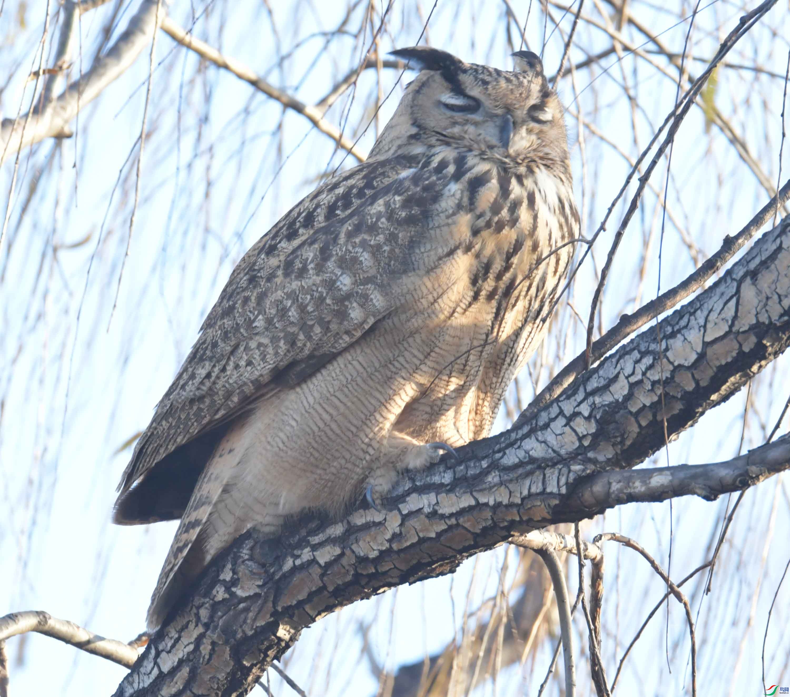 DSC_6981.JPG