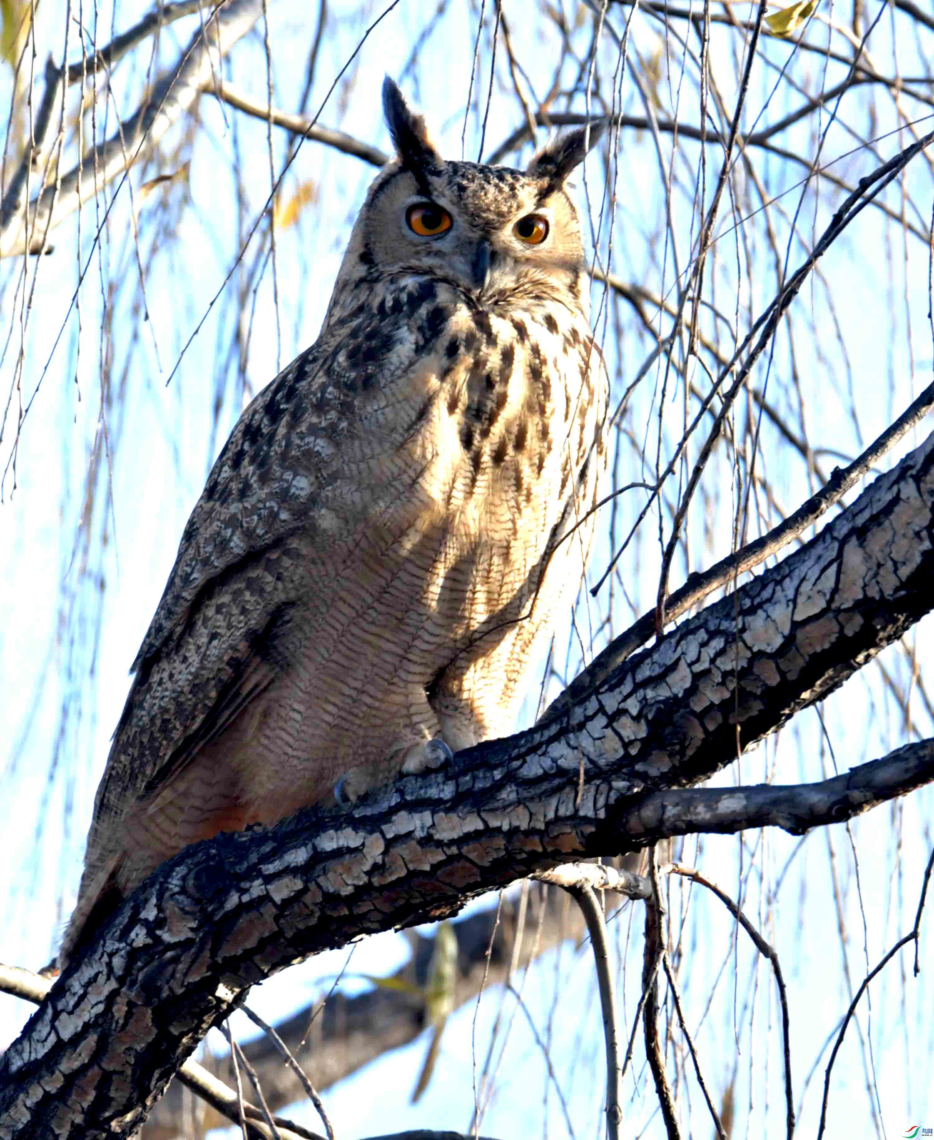 DSC_6816.JPG
