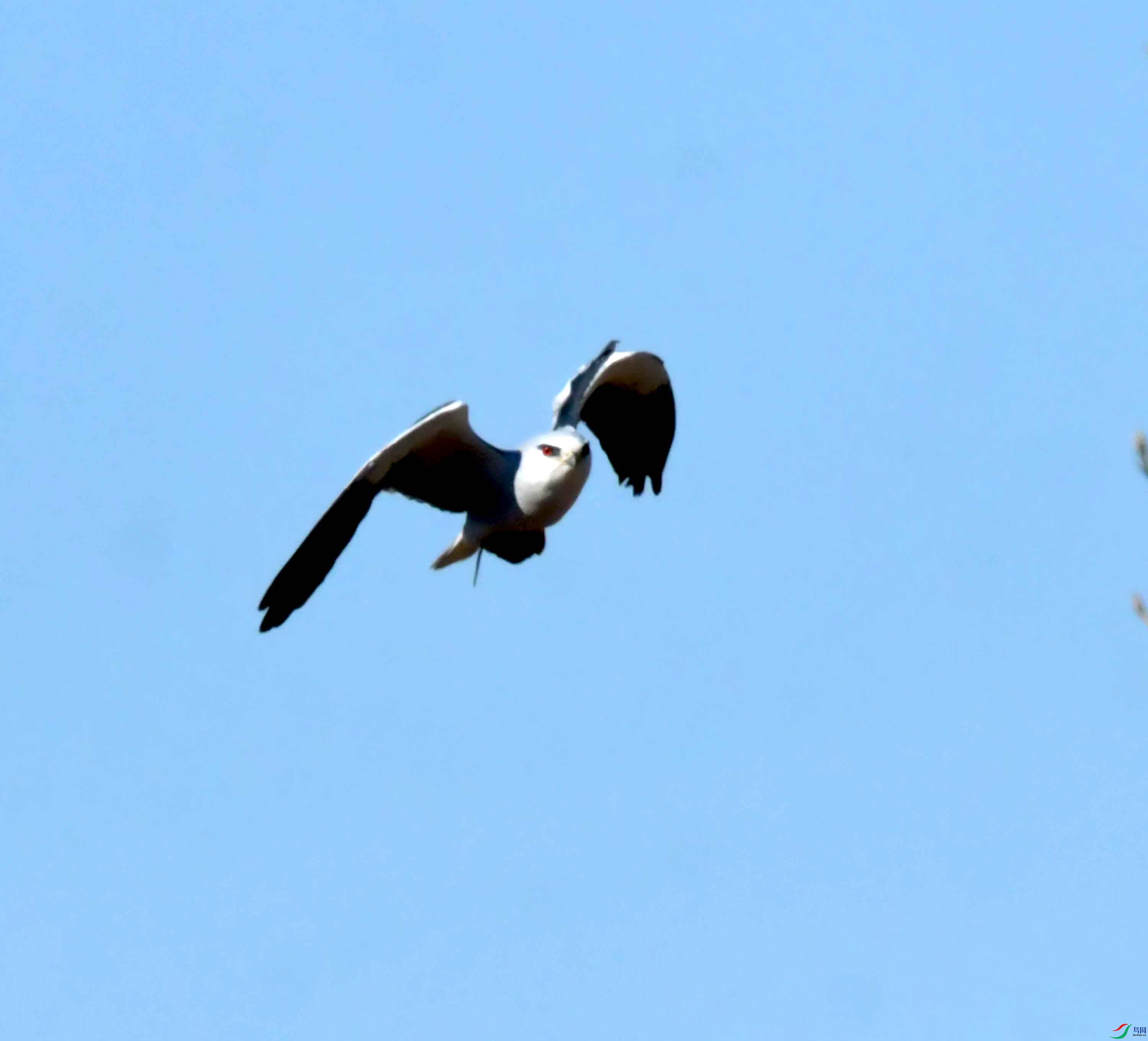 DSC_1088.JPG