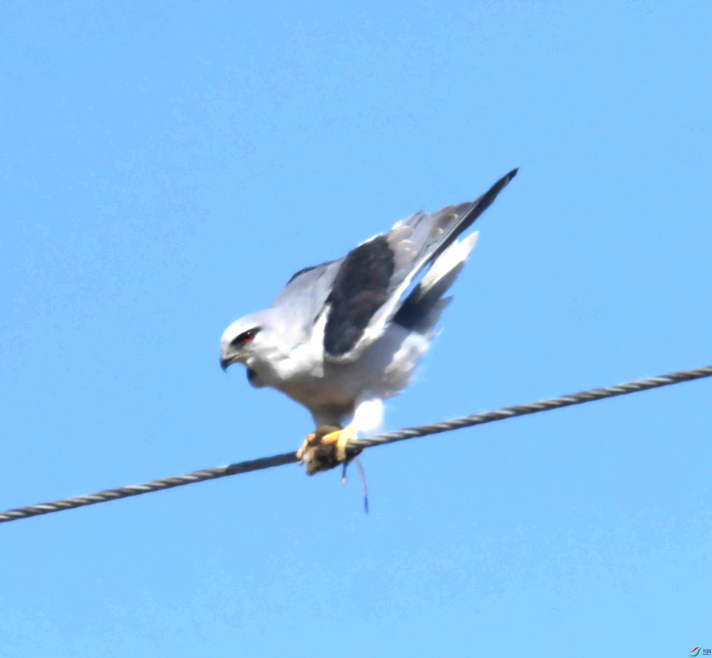 DSC_8345.JPG
