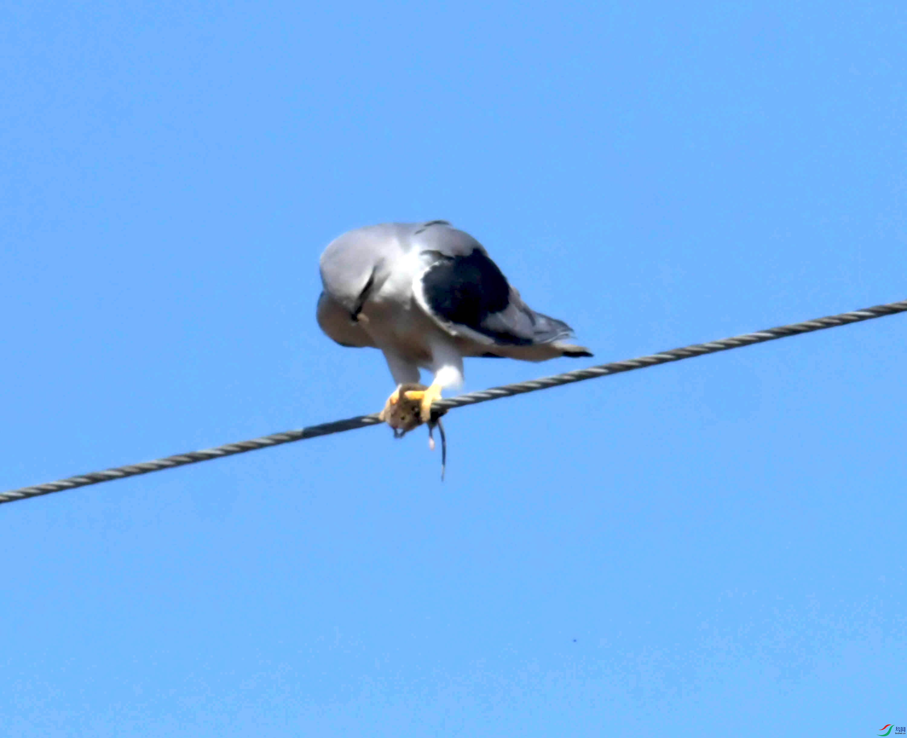 DSC_8354.JPG