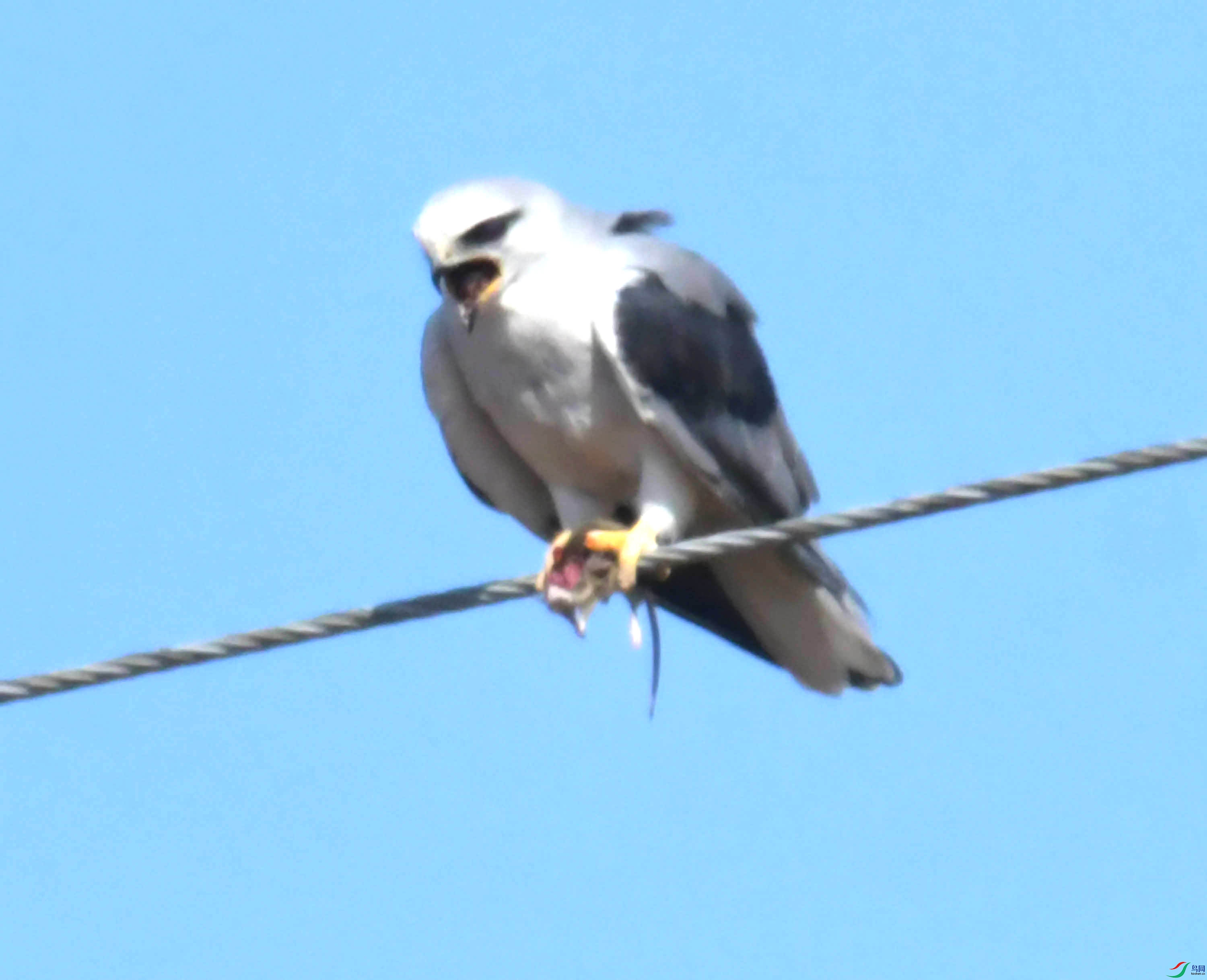 DSC_8378.JPG