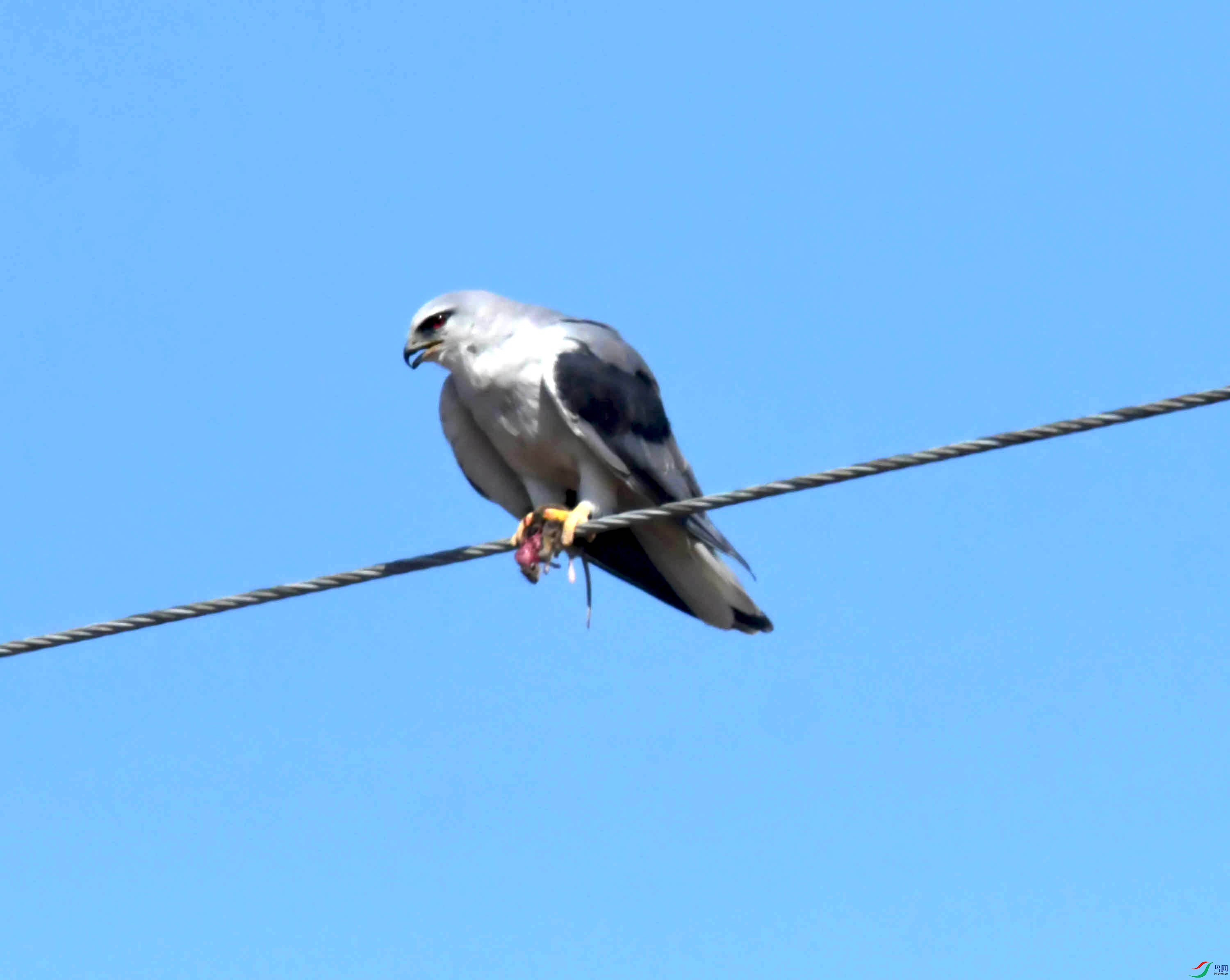 DSC_8372.JPG