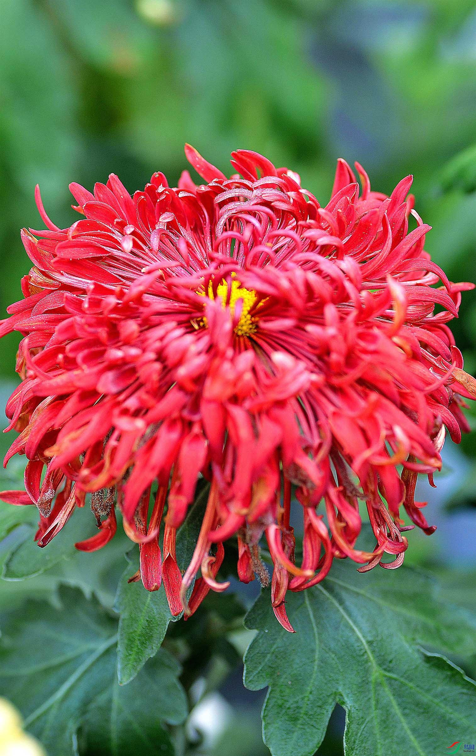 DSC_2829.JPG