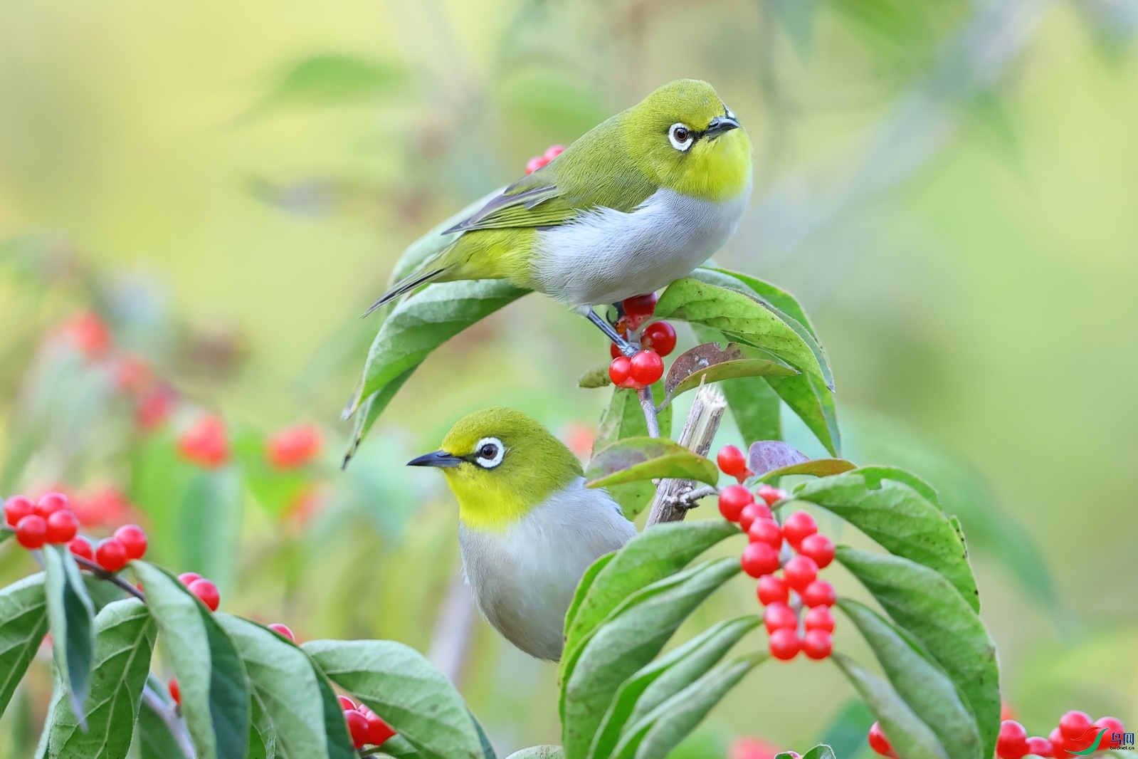 ������ (2).JPG