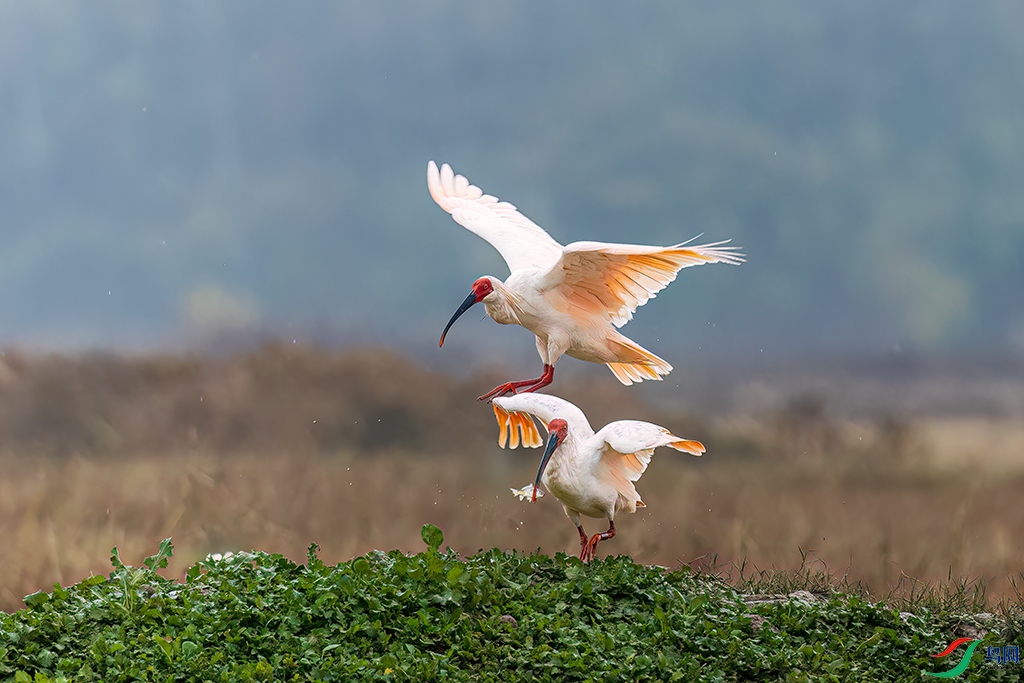 hnxyR221114 (558)_DxO.jpg